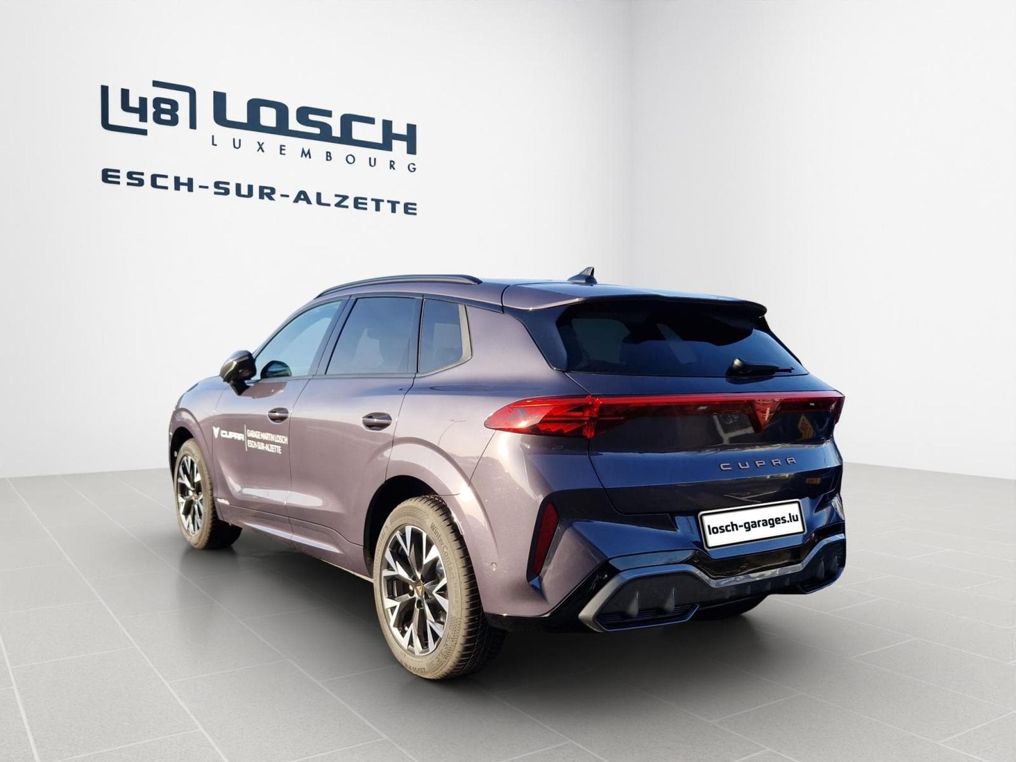 Cupra Terramar 4Drive DSG (2025) - Photo 6