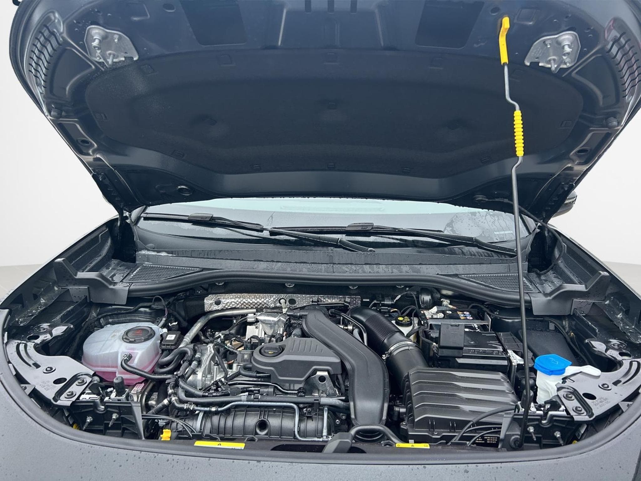 VW T-Roc Life (2025) - Photo 20