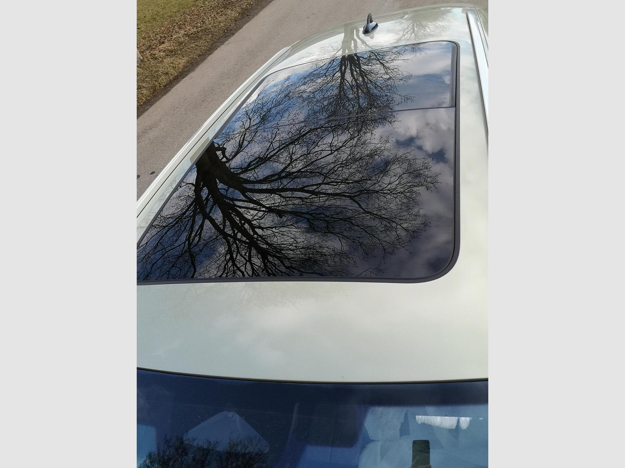 Skoda Superb 2.0 TDI 142kW 4x4 Selection (2025) - Foto 4