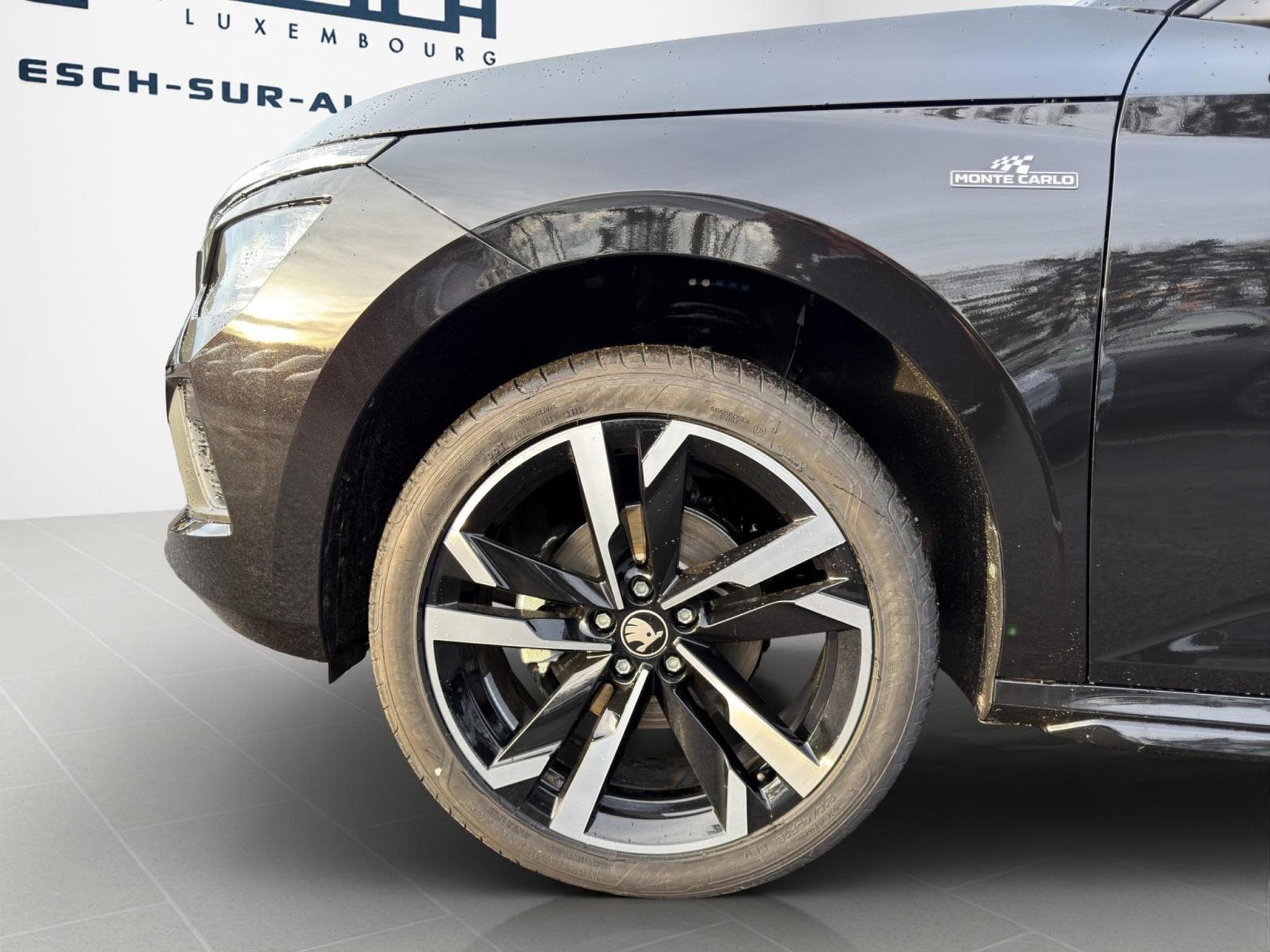 Skoda Kamiq Monte Carlo (2026) - Photo 4