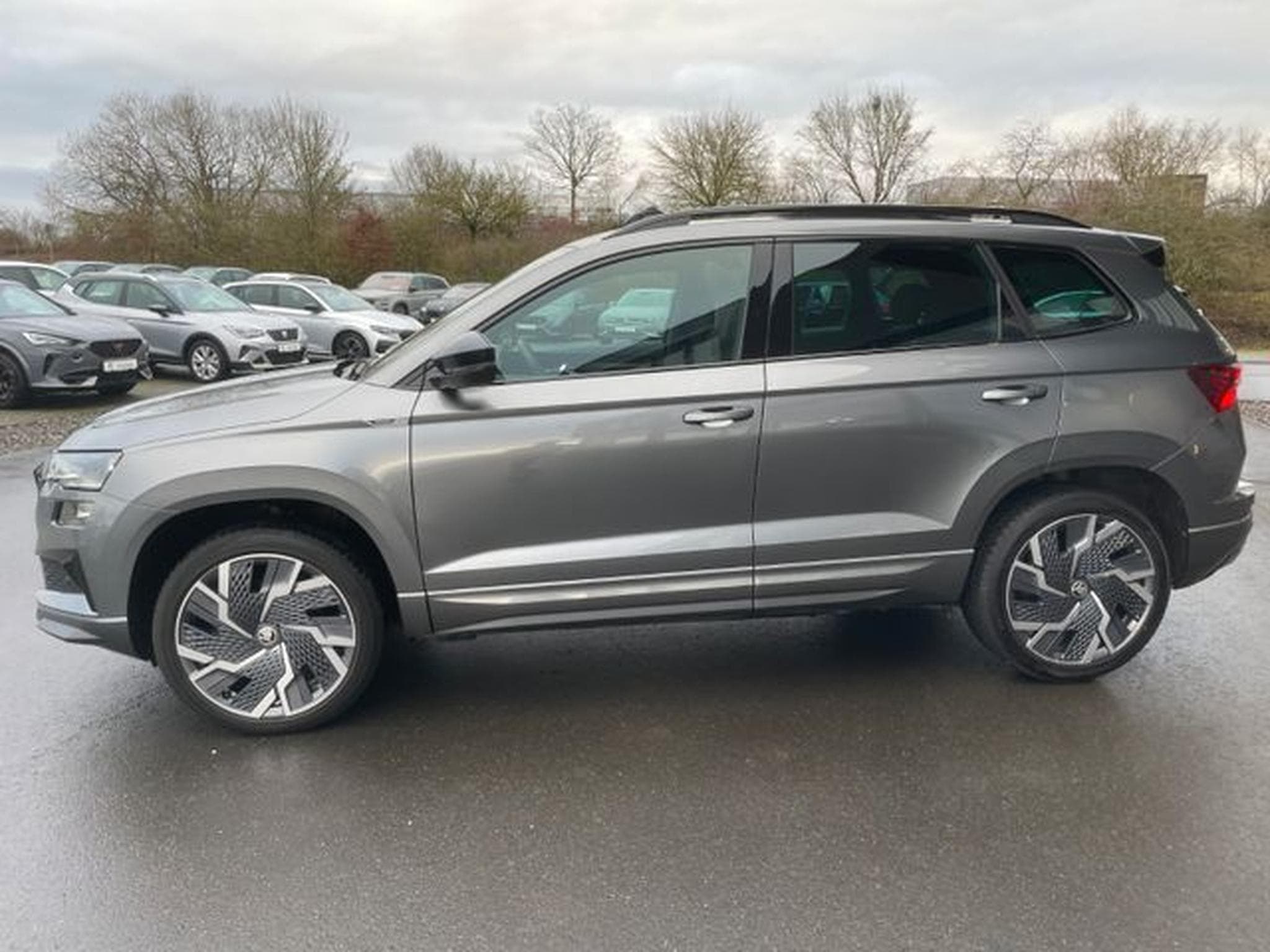 Skoda Karoq Karoq 2,0TSi DSG Sportline 4x4 Pano 19"ACC Navi (2023) - Photo 8