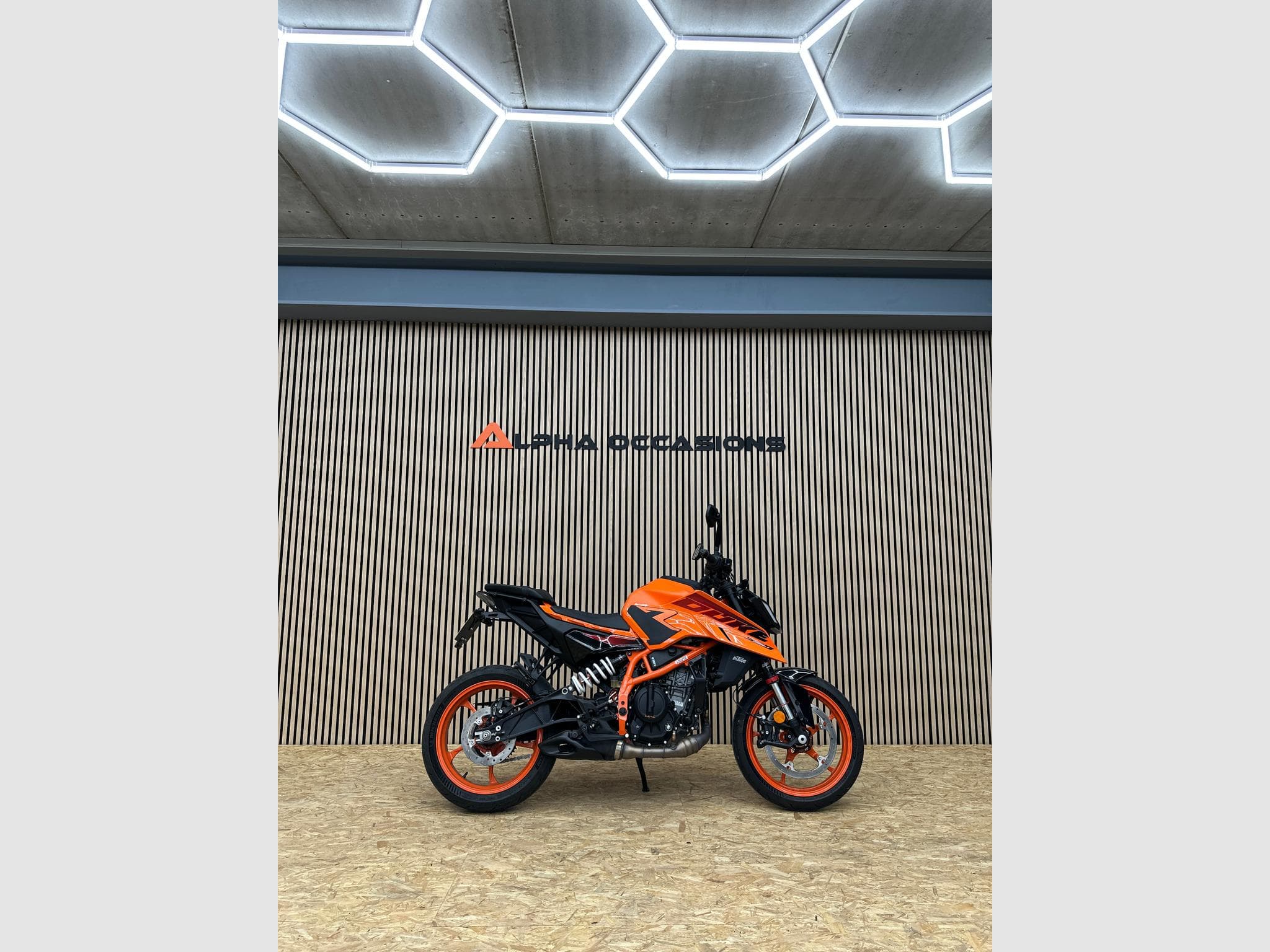KTM Duke 390 (2025) - Foto 6