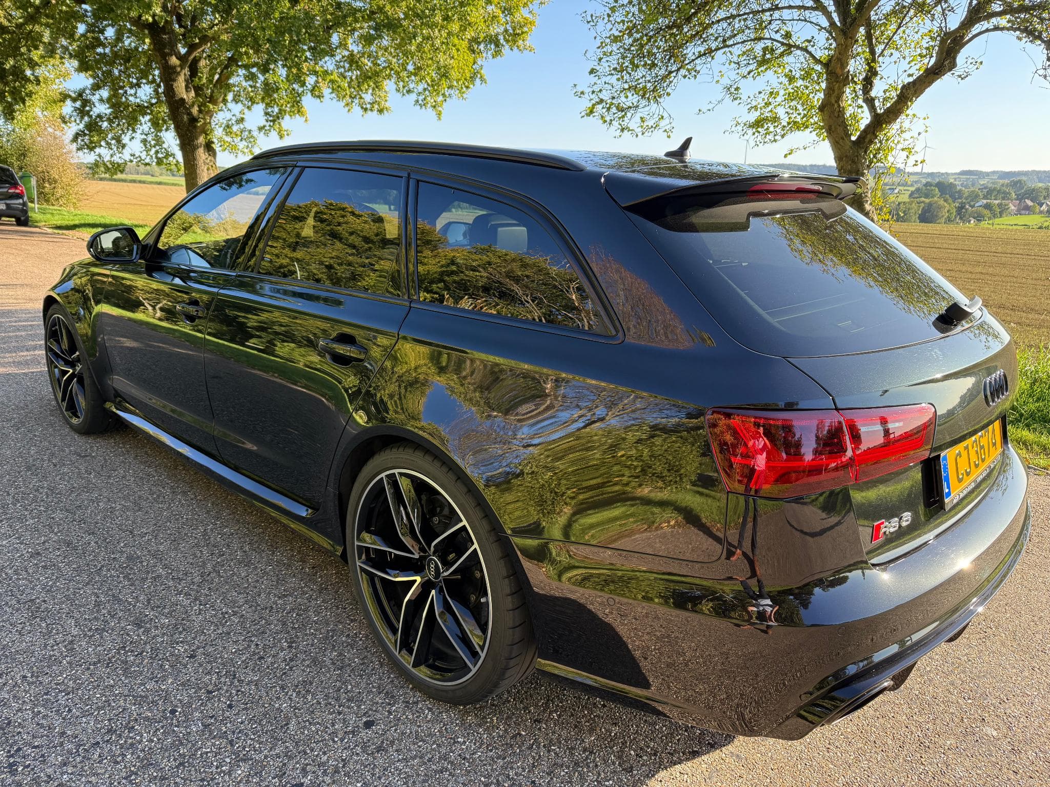 Audi RS6 AVANT 4.0 TFSI QUATTRO V8 Bi-Turbo 560 PS (2015) - Foto 2
