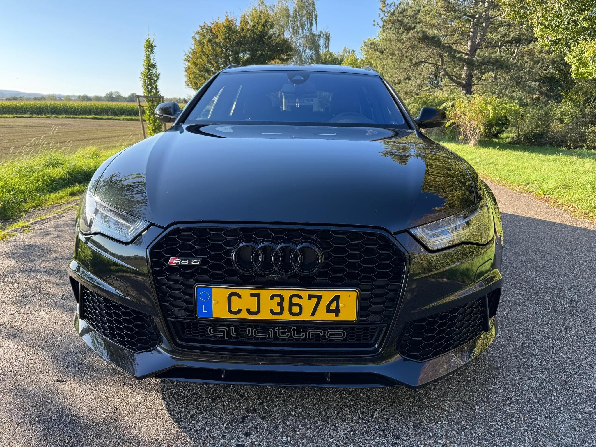 Audi RS6 AVANT 4.0 TFSI QUATTRO V8 Bi-Turbo 560 PS (2015) - Foto 3