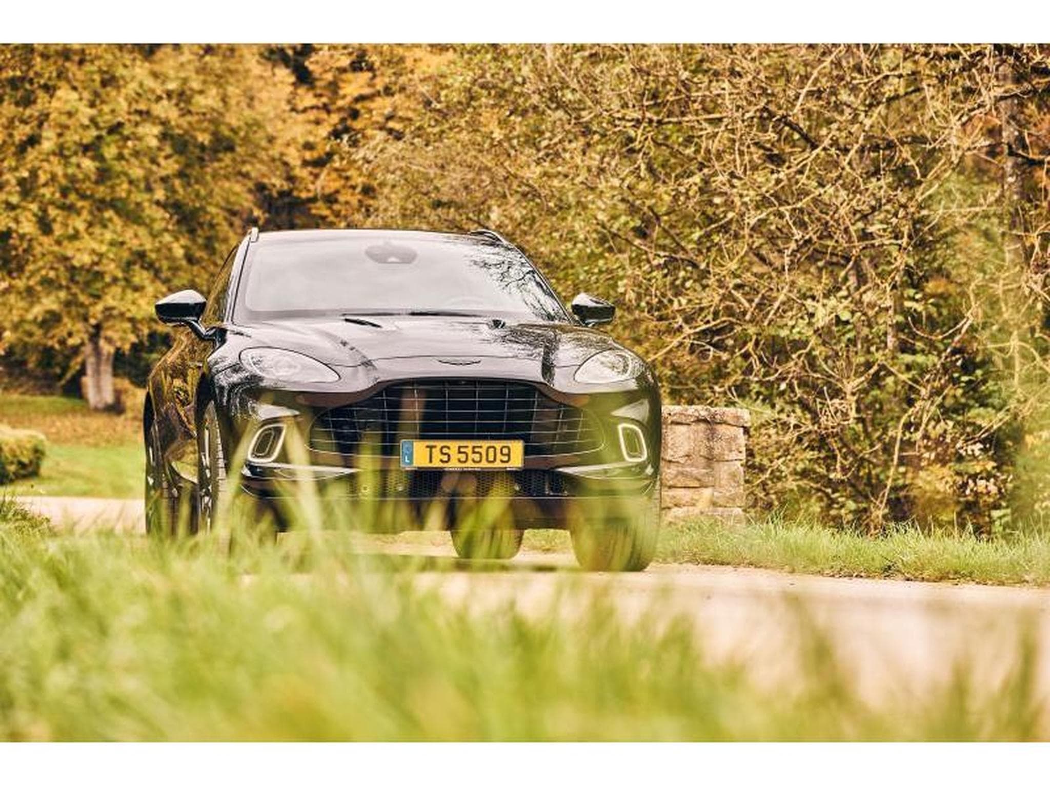 Aston-Martin DBX (2022) - Foto 28