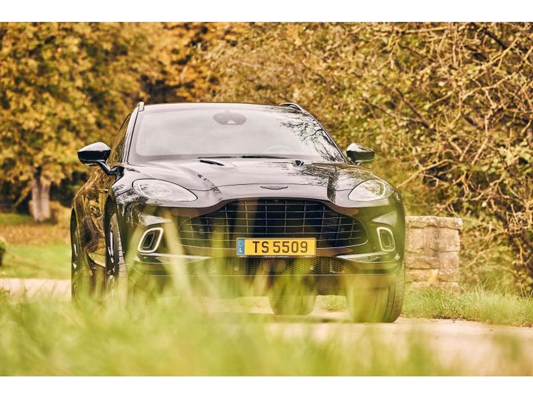 Aston-Martin DBX (2022) - Foto 29