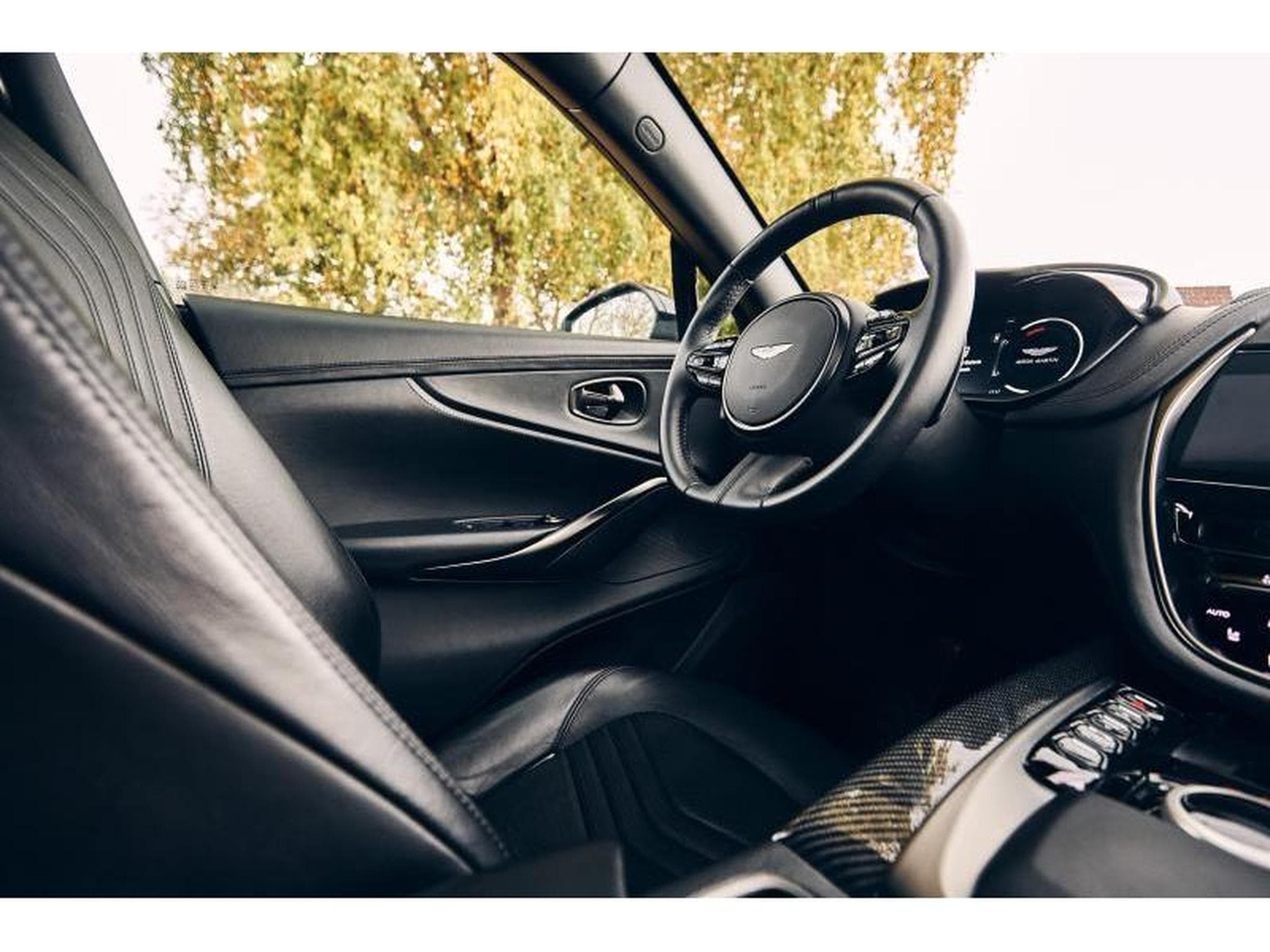 Aston-Martin DBX (2022) - Foto 47