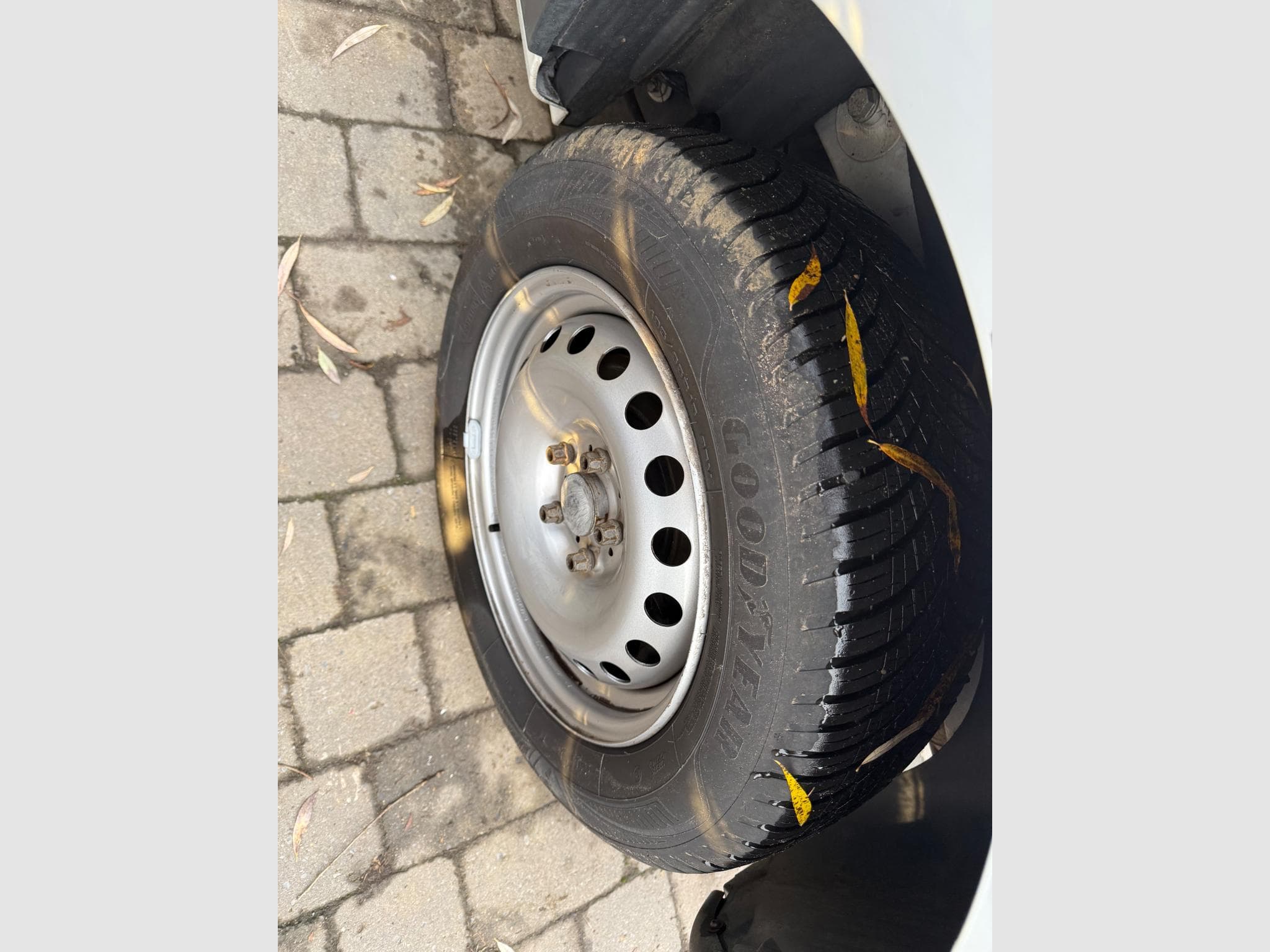 Renault Kangoo 1.5dci 90cv maxi (2019) - Foto 8