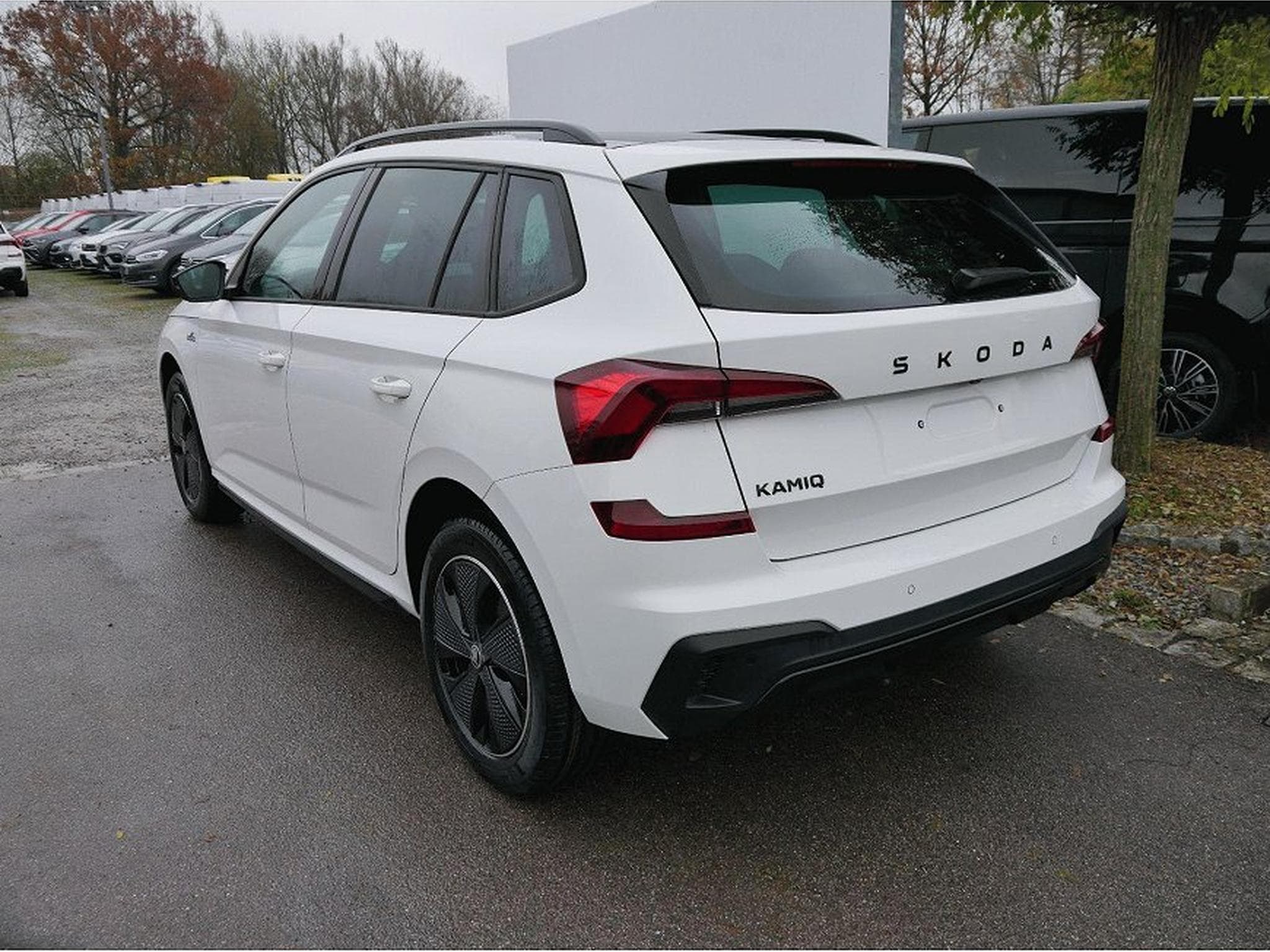 Skoda Kamiq (2026) - Photo 6