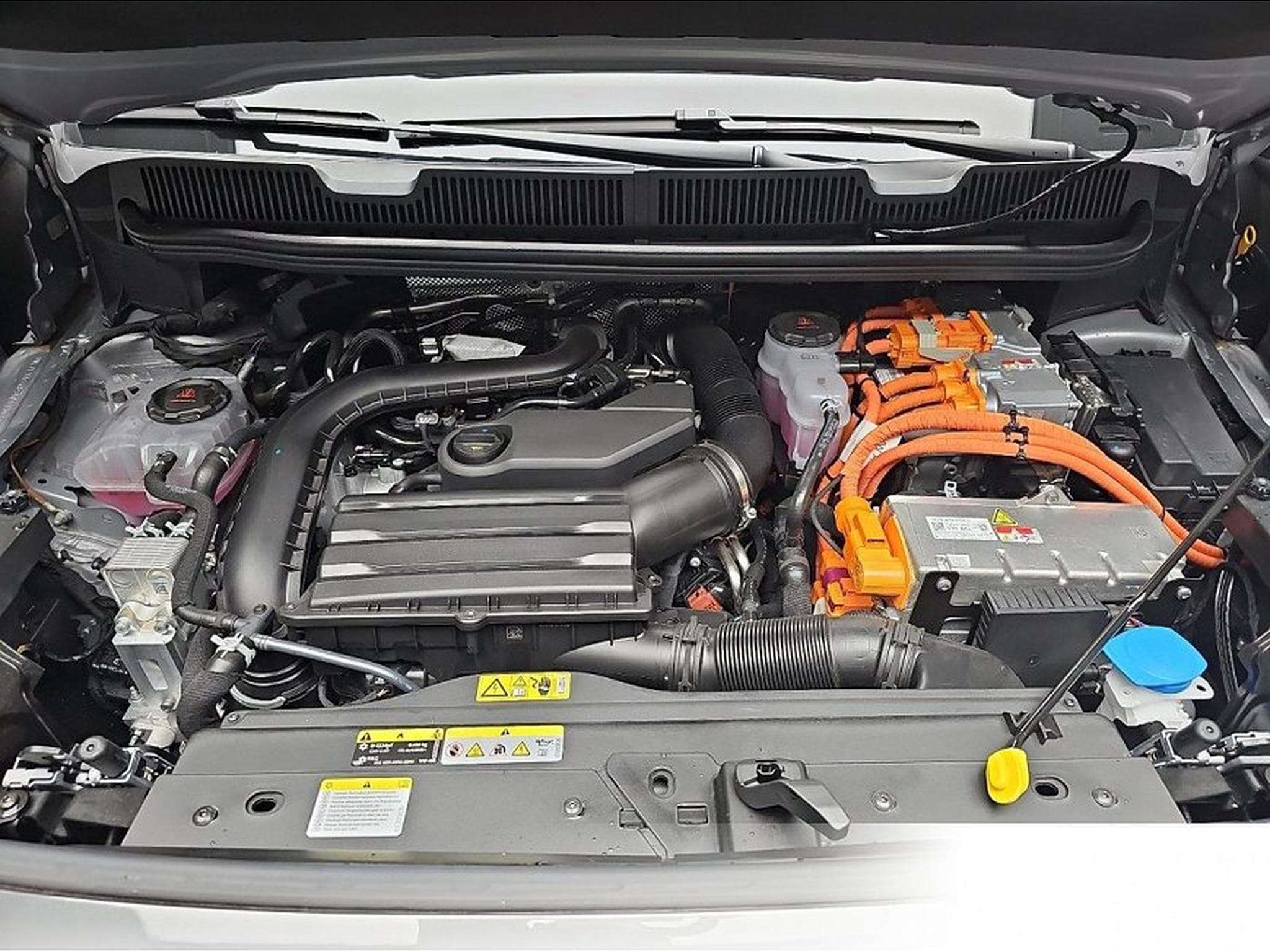 Ford Tourneo (2026) - Photo 14