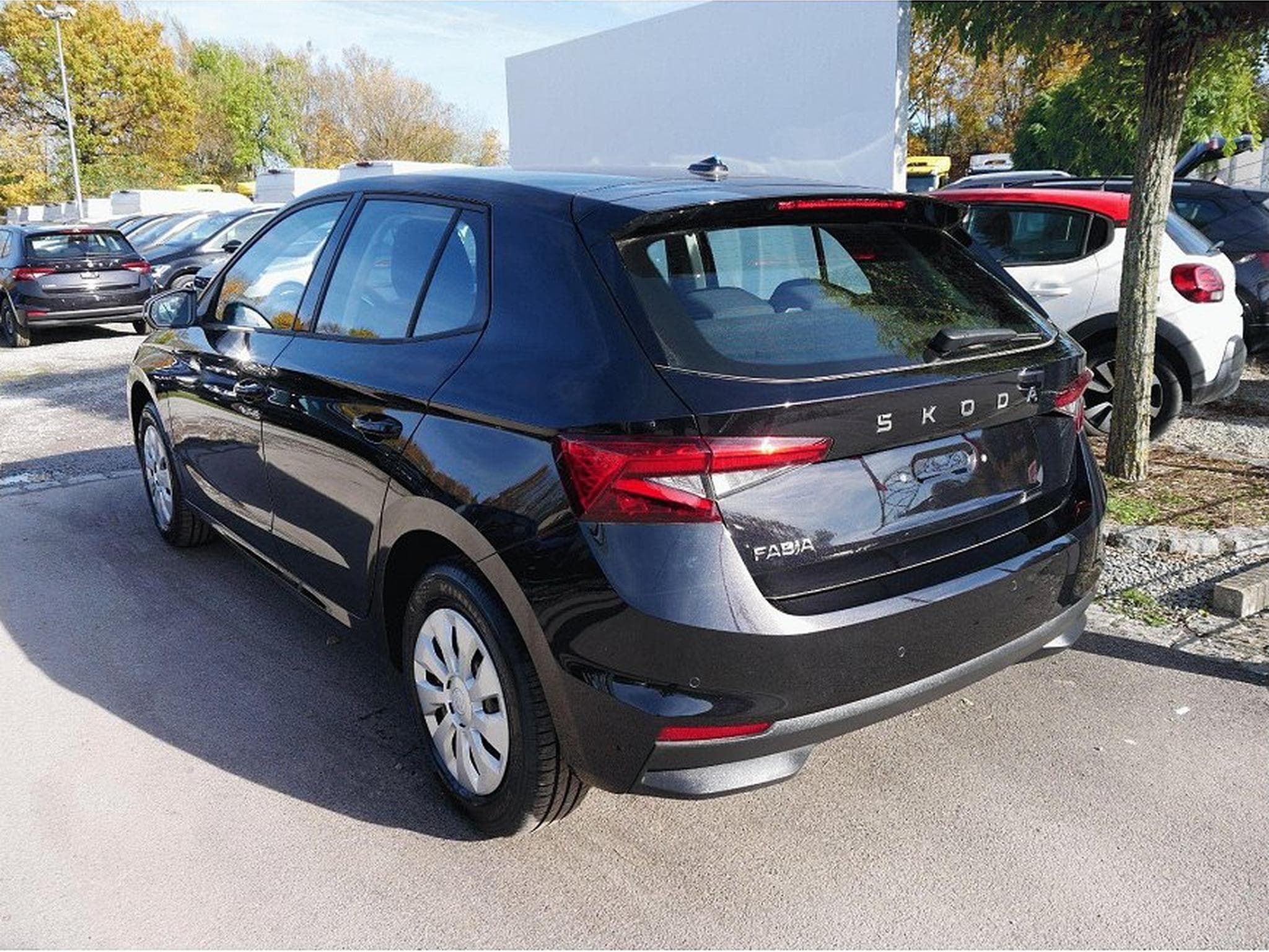 Skoda Fabia (2026) - Photo 6