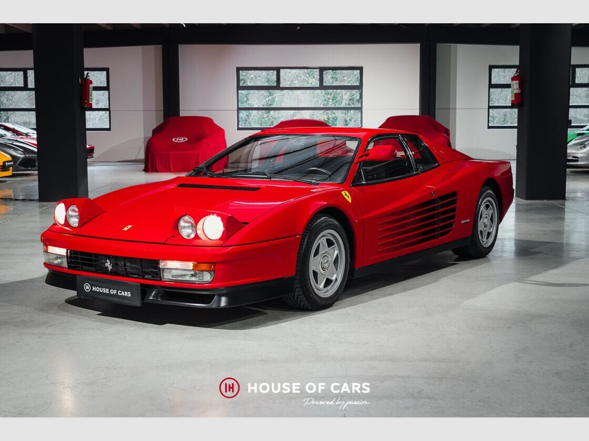 Ferrari Testarossa "MONODADO-MONOSPECCHIO" 1 OF 519EX*! (1986) - Photo 2