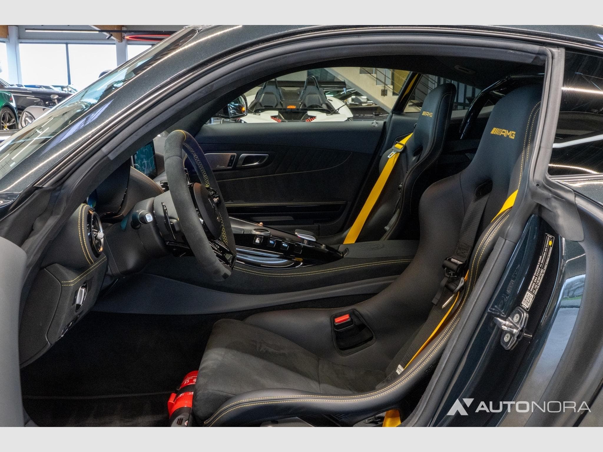 Mercedes AMG GT AMG GT-R Pro (2020) - Foto 11