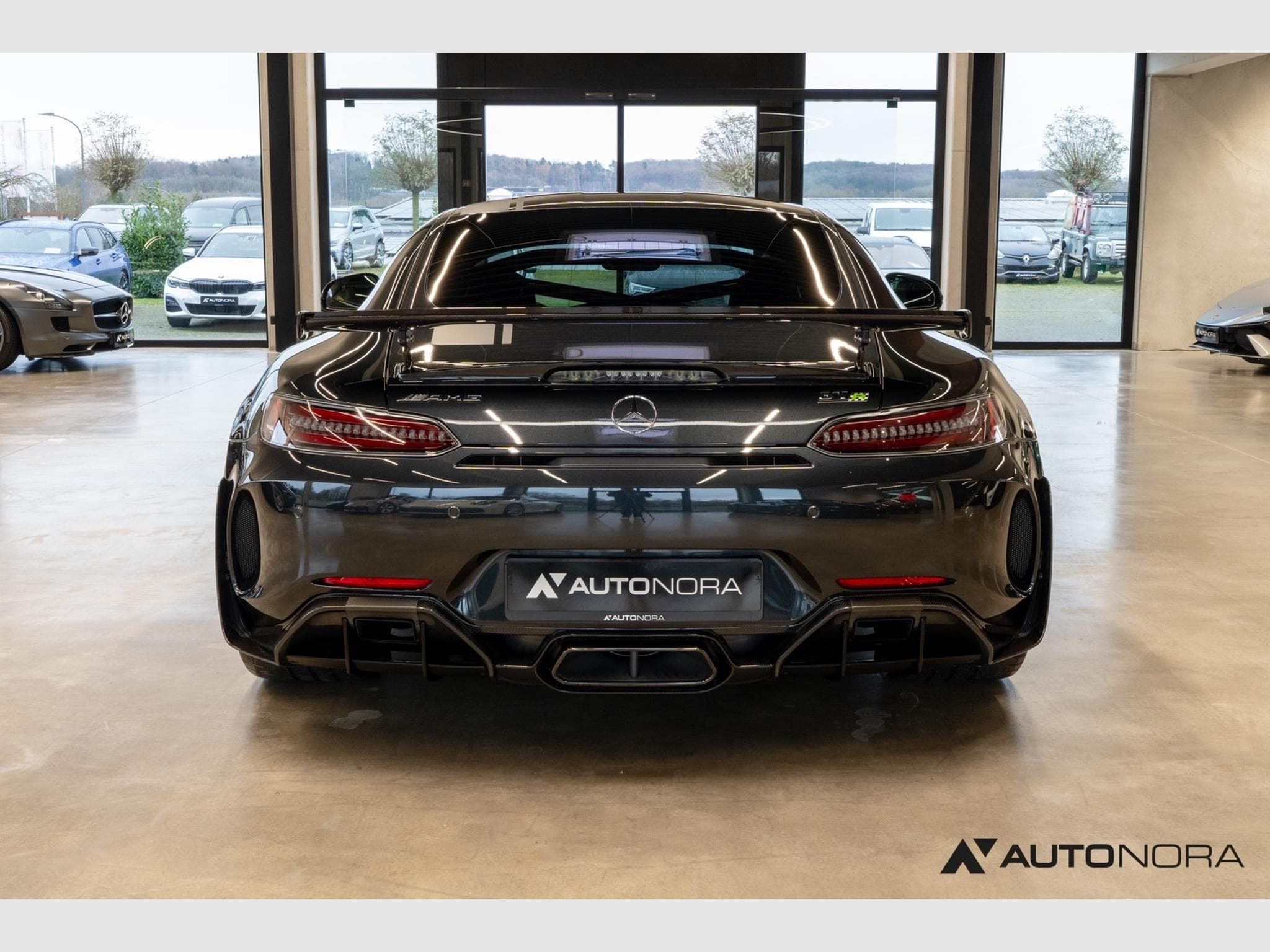 Mercedes AMG GT AMG GT-R Pro (2020) - Foto 9