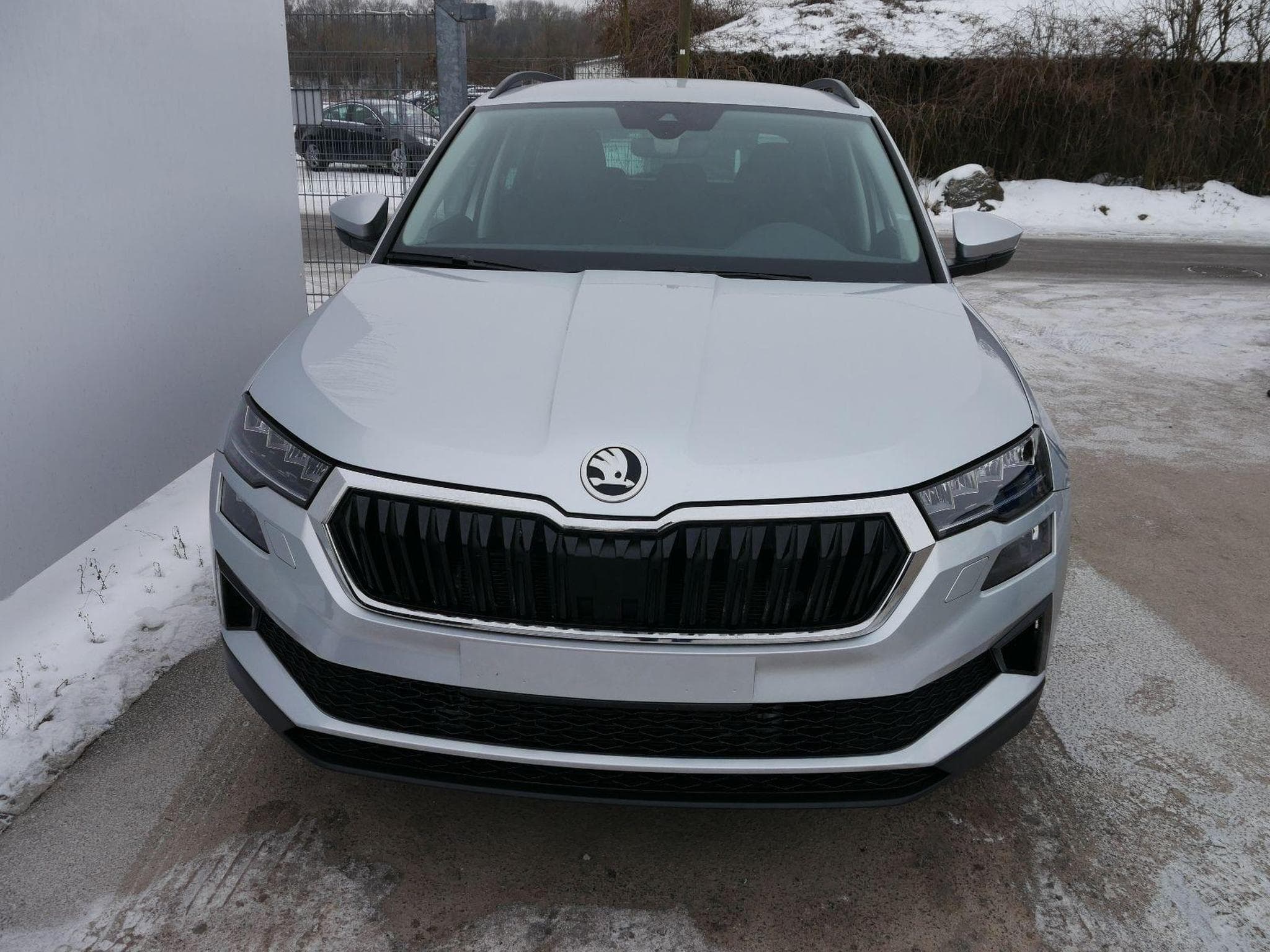 Skoda Karoq Selection (2026) - Foto 3