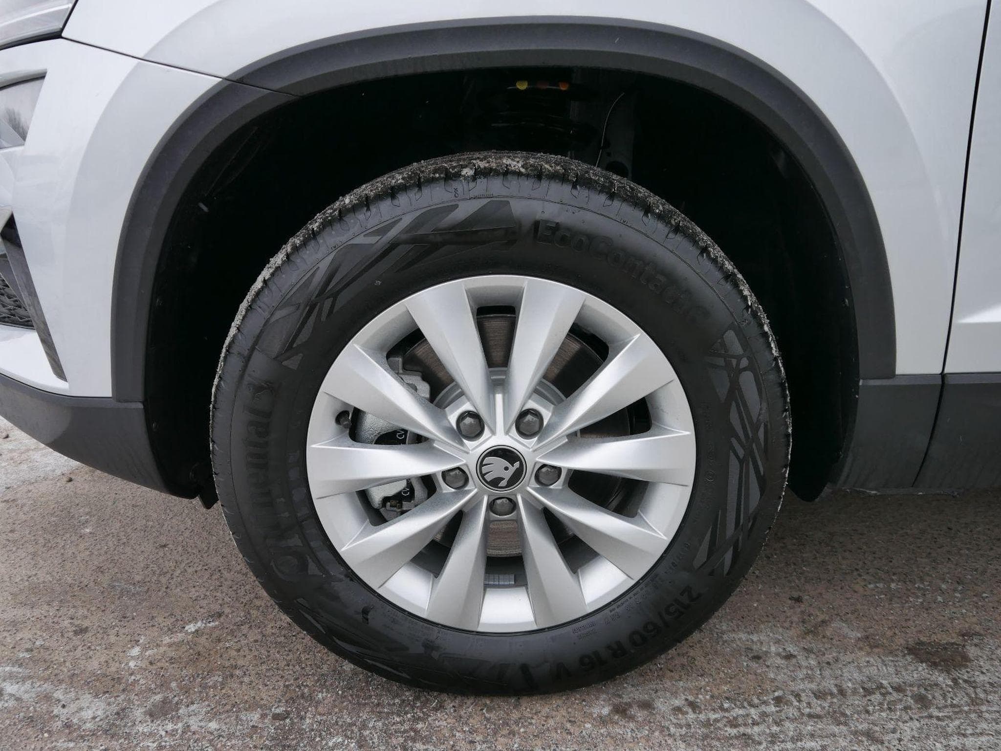 Skoda Karoq Selection (2026) - Foto 4