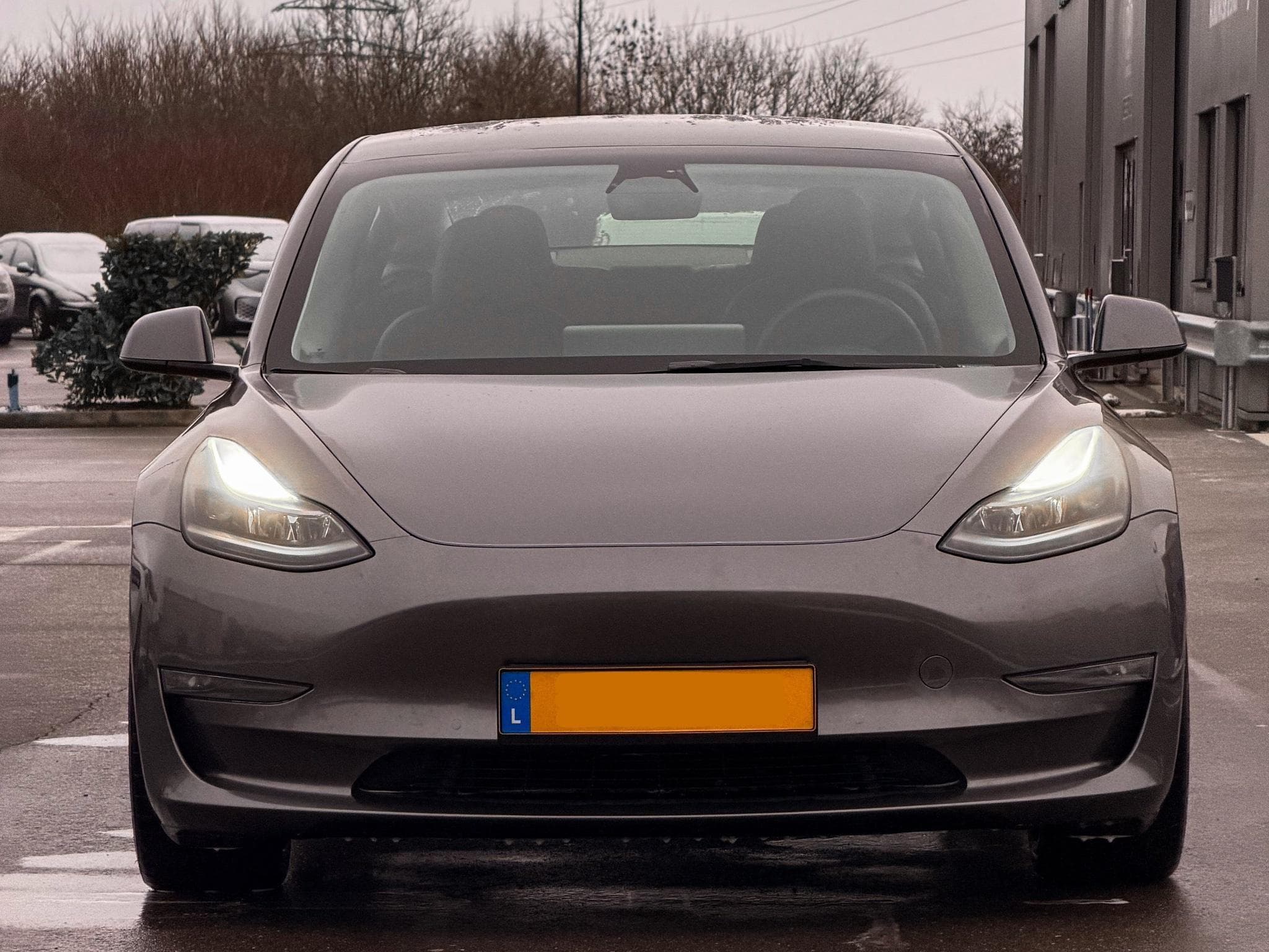 Tesla Model 3 Performance AWD 2021 512ch Panasonic (2021) - Photo 3