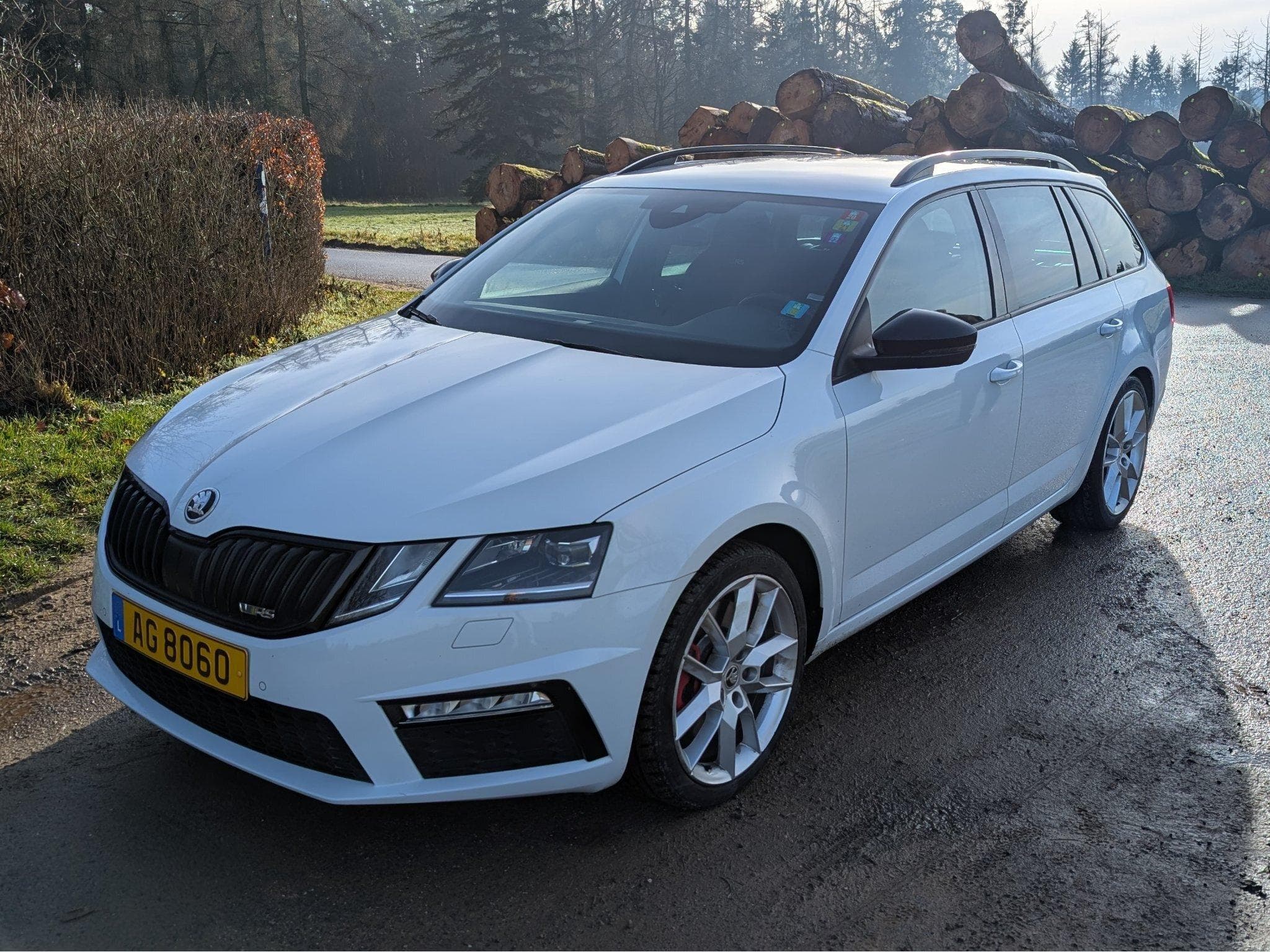 Skoda Octavia RS (2018) - Photo 1