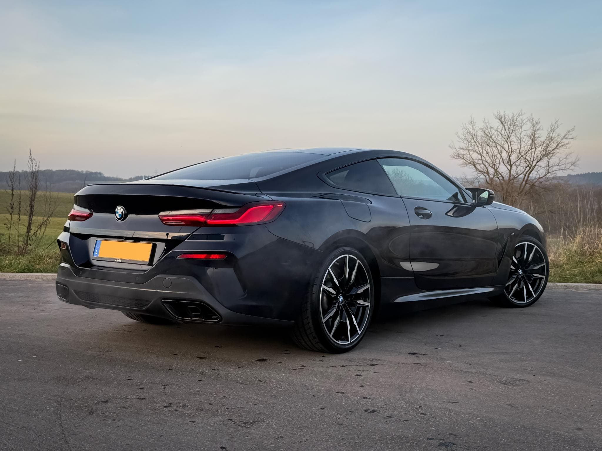 BMW M850 i xDrive Coupé (2022) - Photo 4