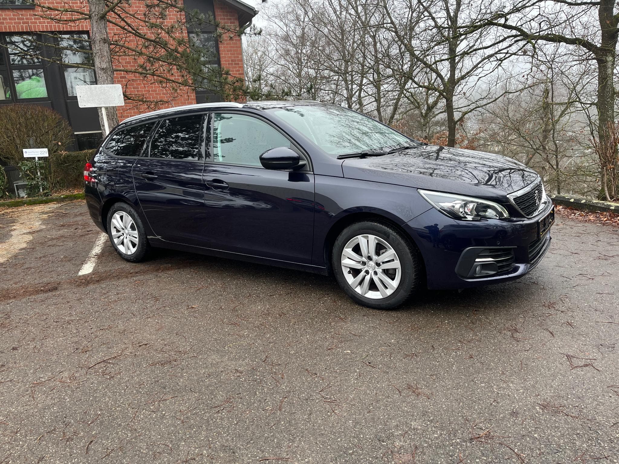 Peugeot 308 Panaromic Sunglass (2019) - Foto 2