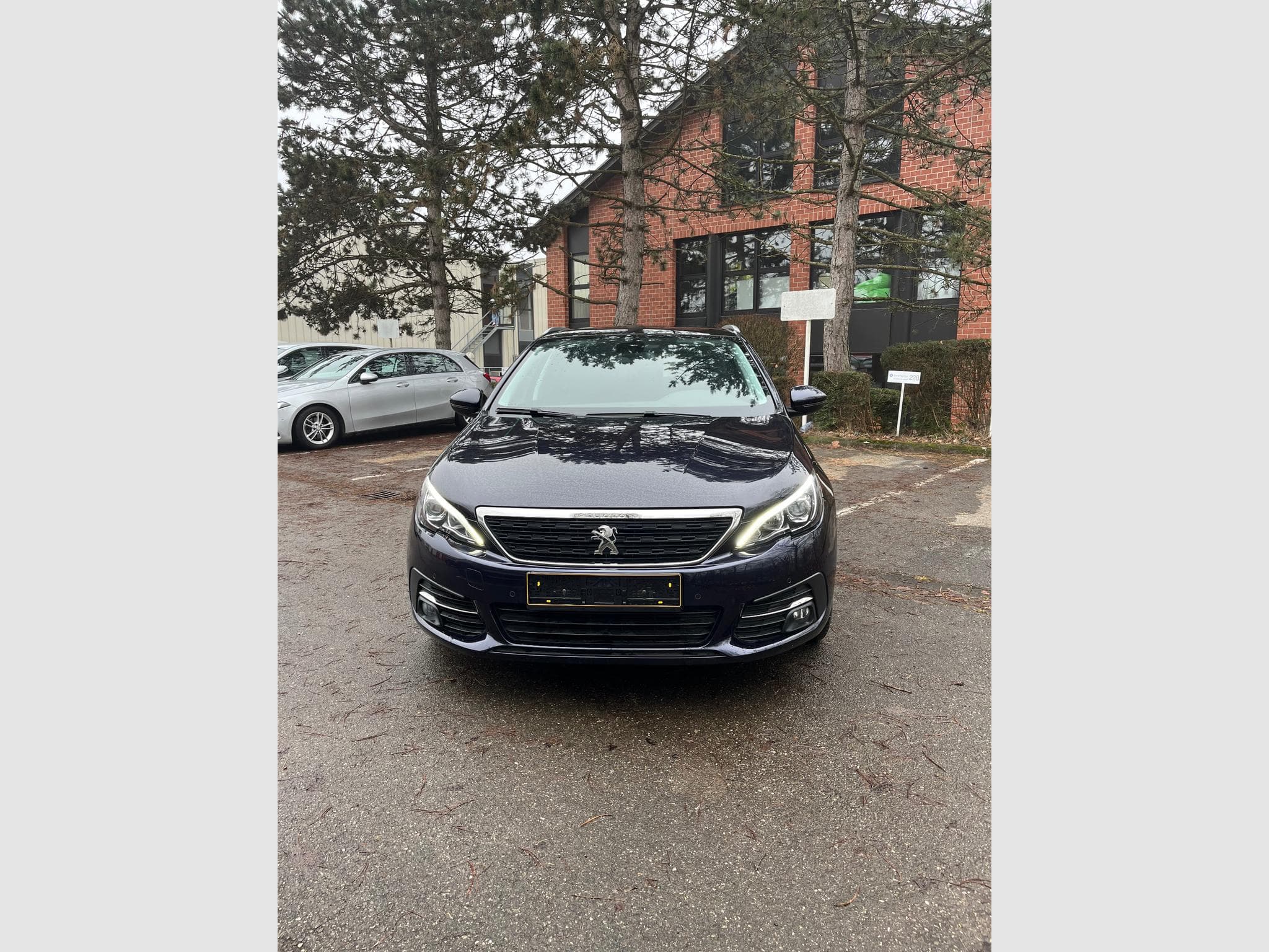 Peugeot 308 Panaromic Sunglass (2019) - Foto 1