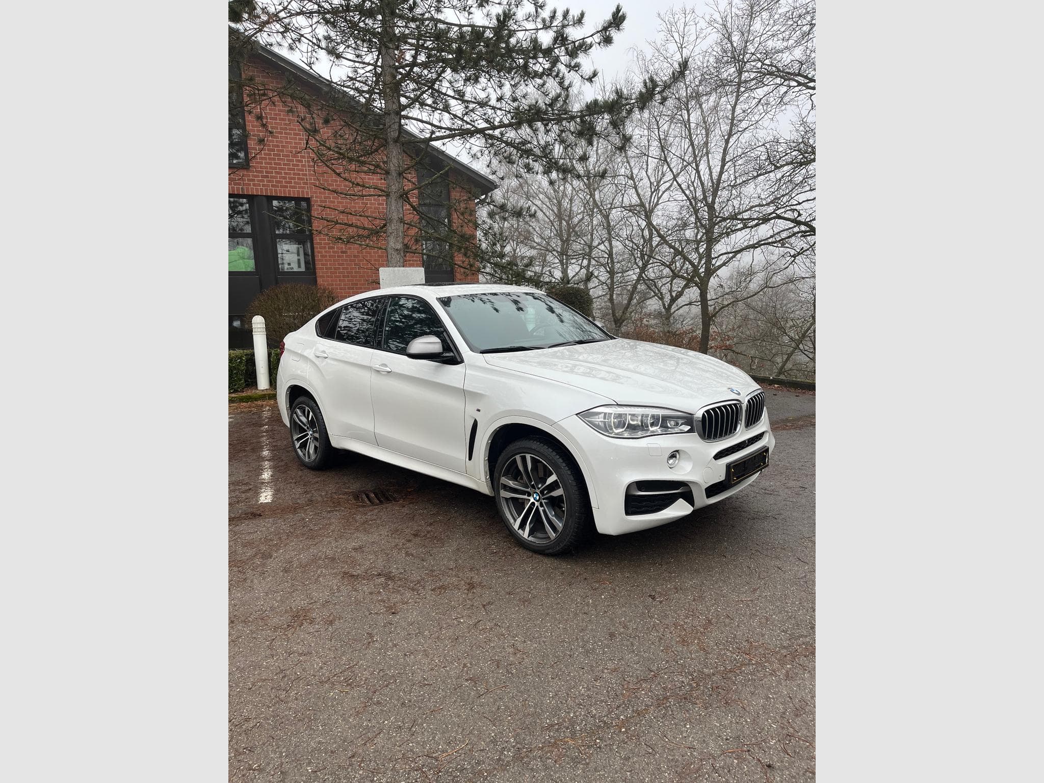 BMW X6M 5.0D (2019) - Foto 2