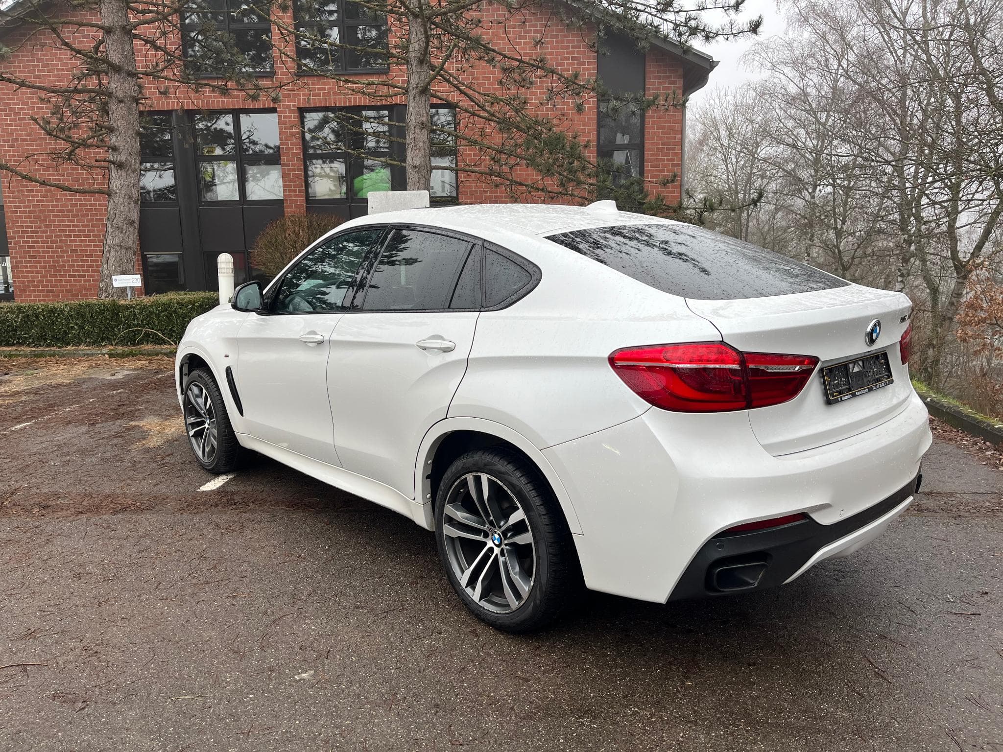 BMW X6M 5.0D (2019) - Foto 4