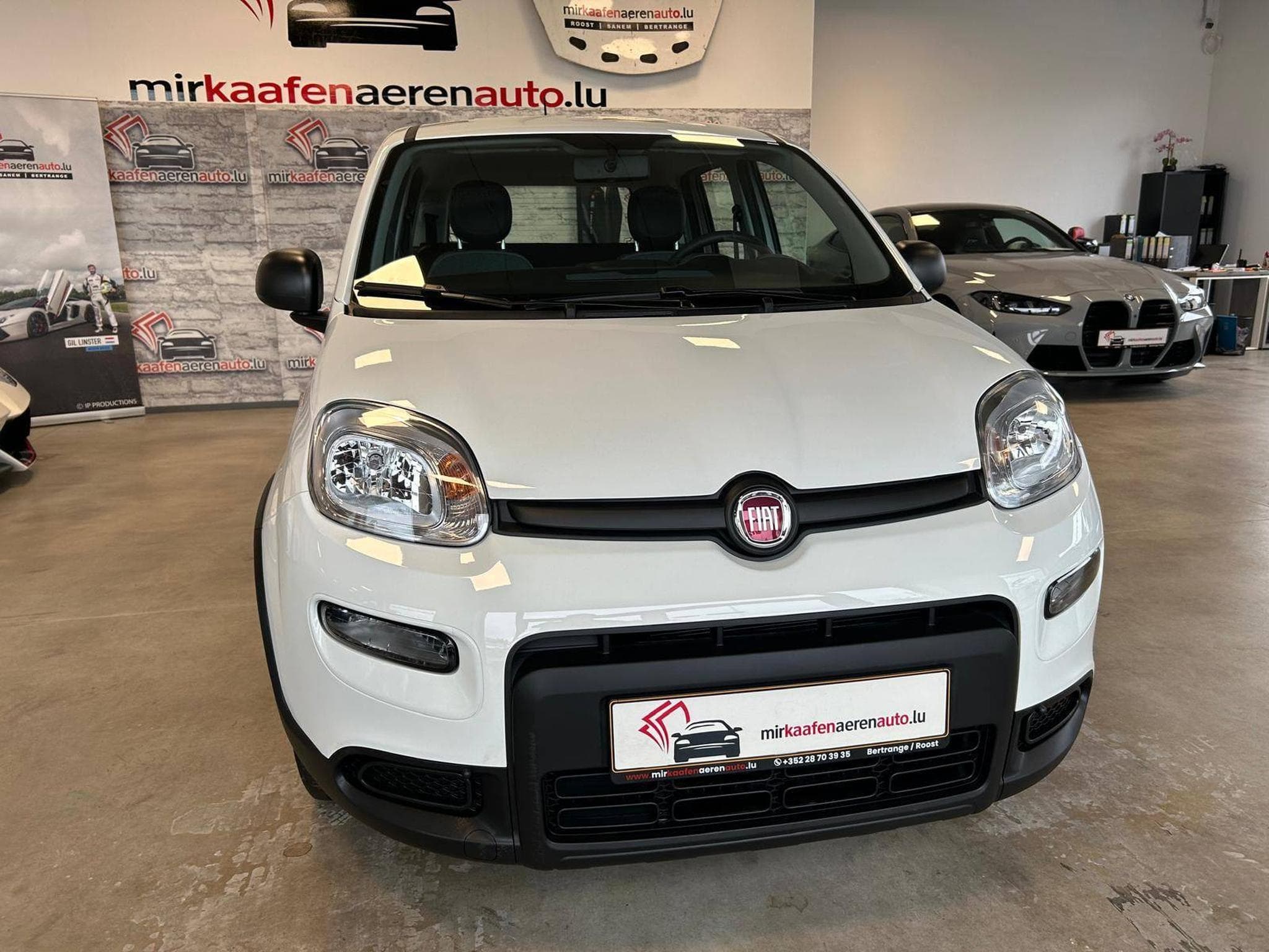 Fiat Panda (2023) - Photo 1