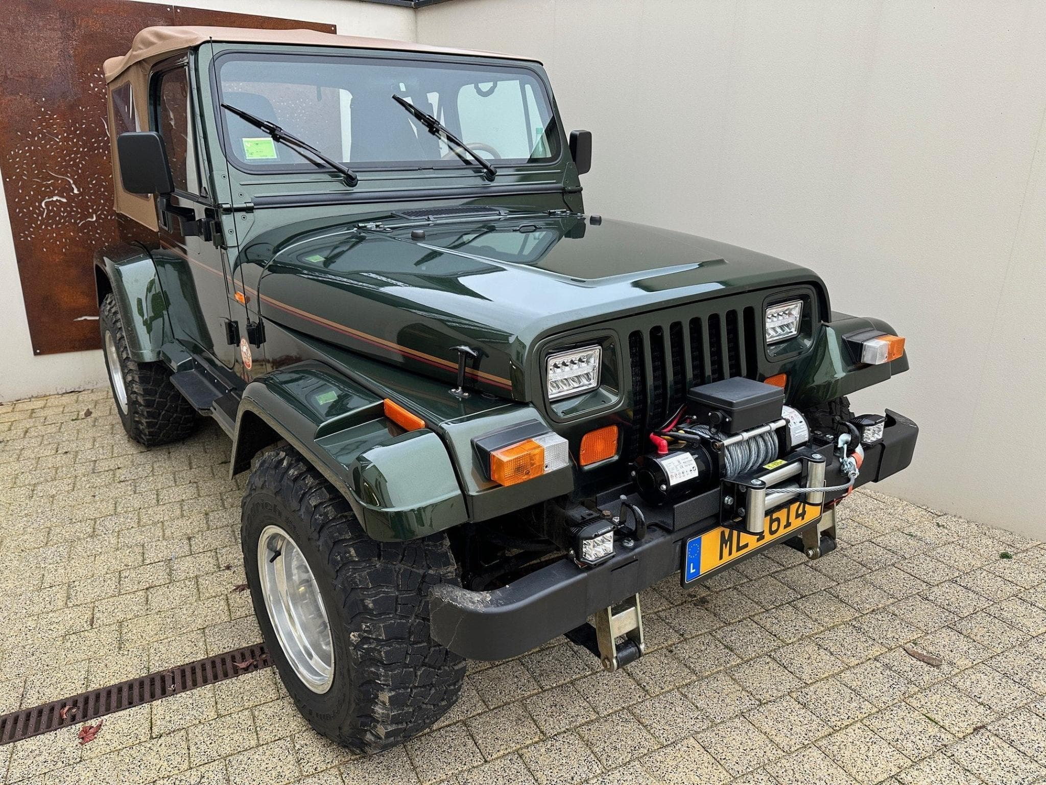 Jeep Wrangler 4.0 Sahara (1996) - Foto 1