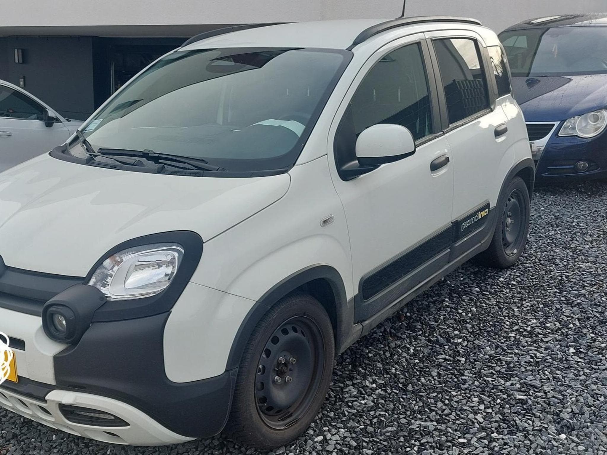 Fiat Panda Pandina ''La Prima'' FireFly (2024) - Foto 2