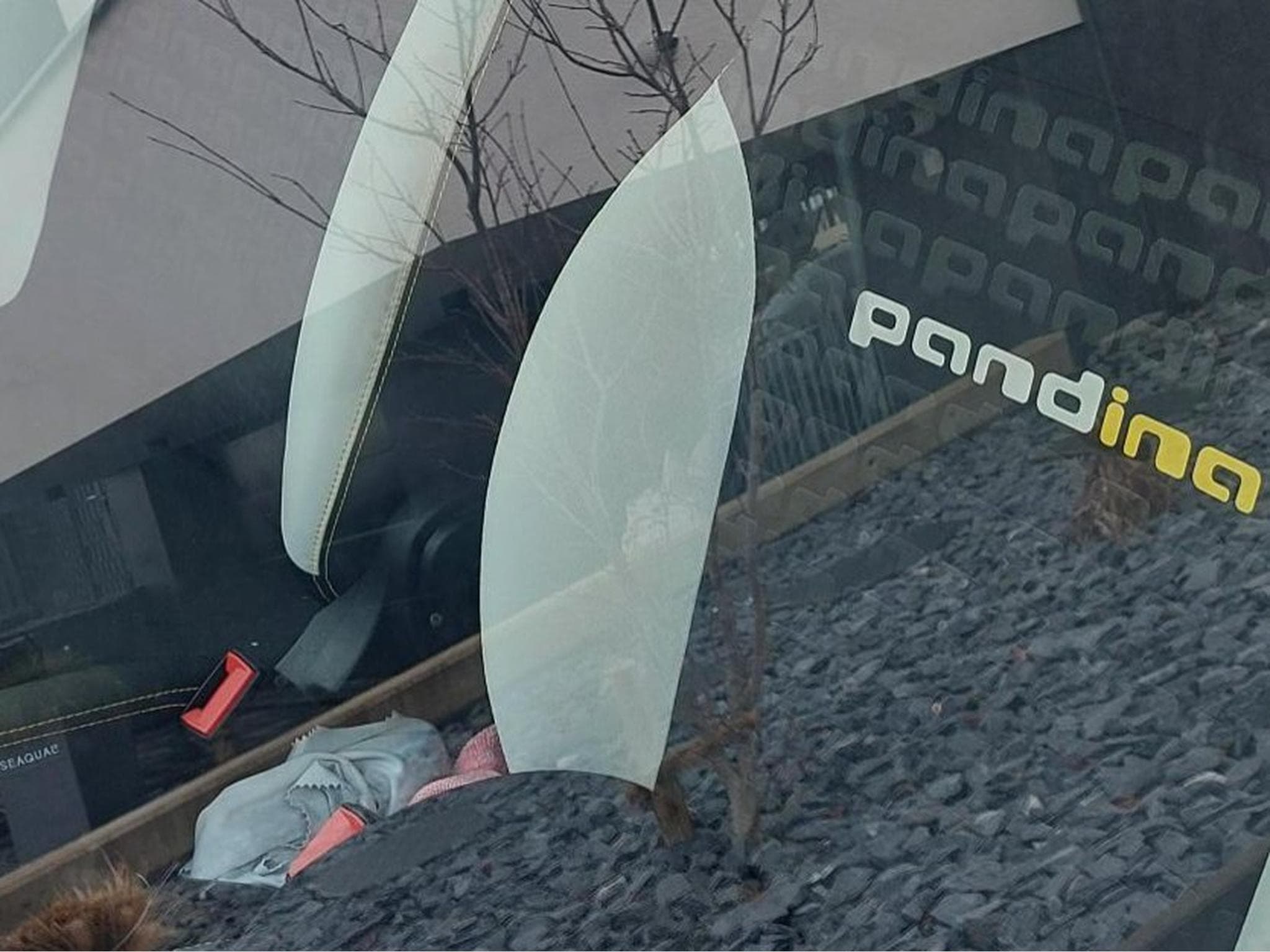 Fiat Panda Pandina ''La Prima'' FireFly (2024) - Foto 6