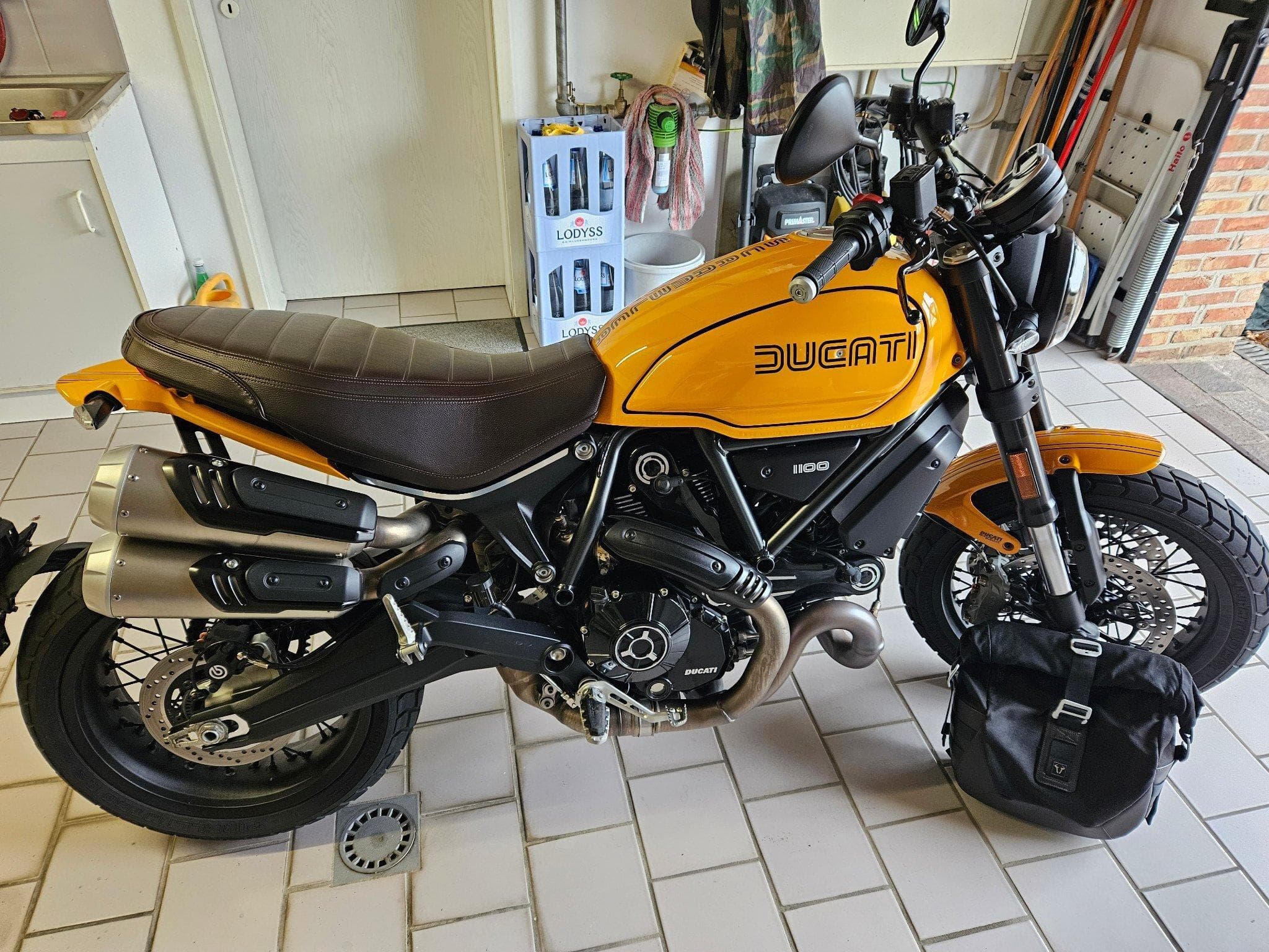 Ducati Scrambler 1100 Tribute (2023) - Foto 1