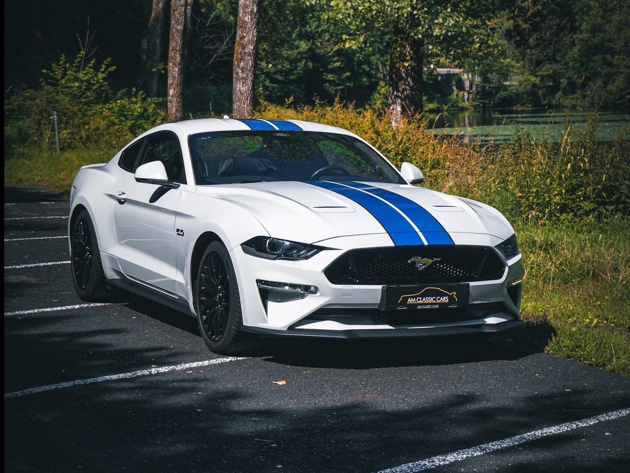 Ford Mustang Mustang GT 5.0 / V8 449 ch / Carnet d’entretien à jour (2023) - Photo 1