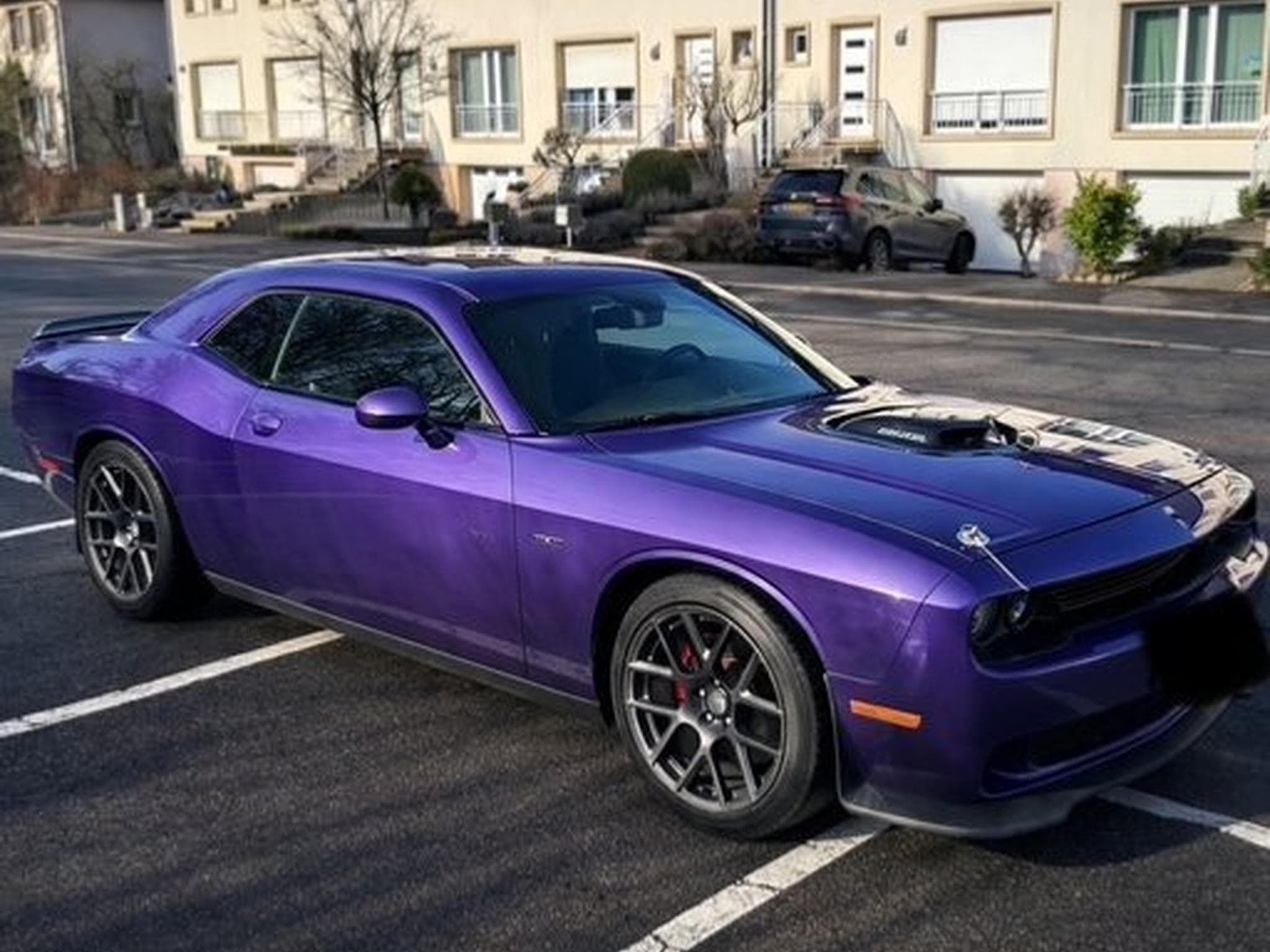 Dodge Challenger Shaker Plum Crazy (2016) - Photo 2