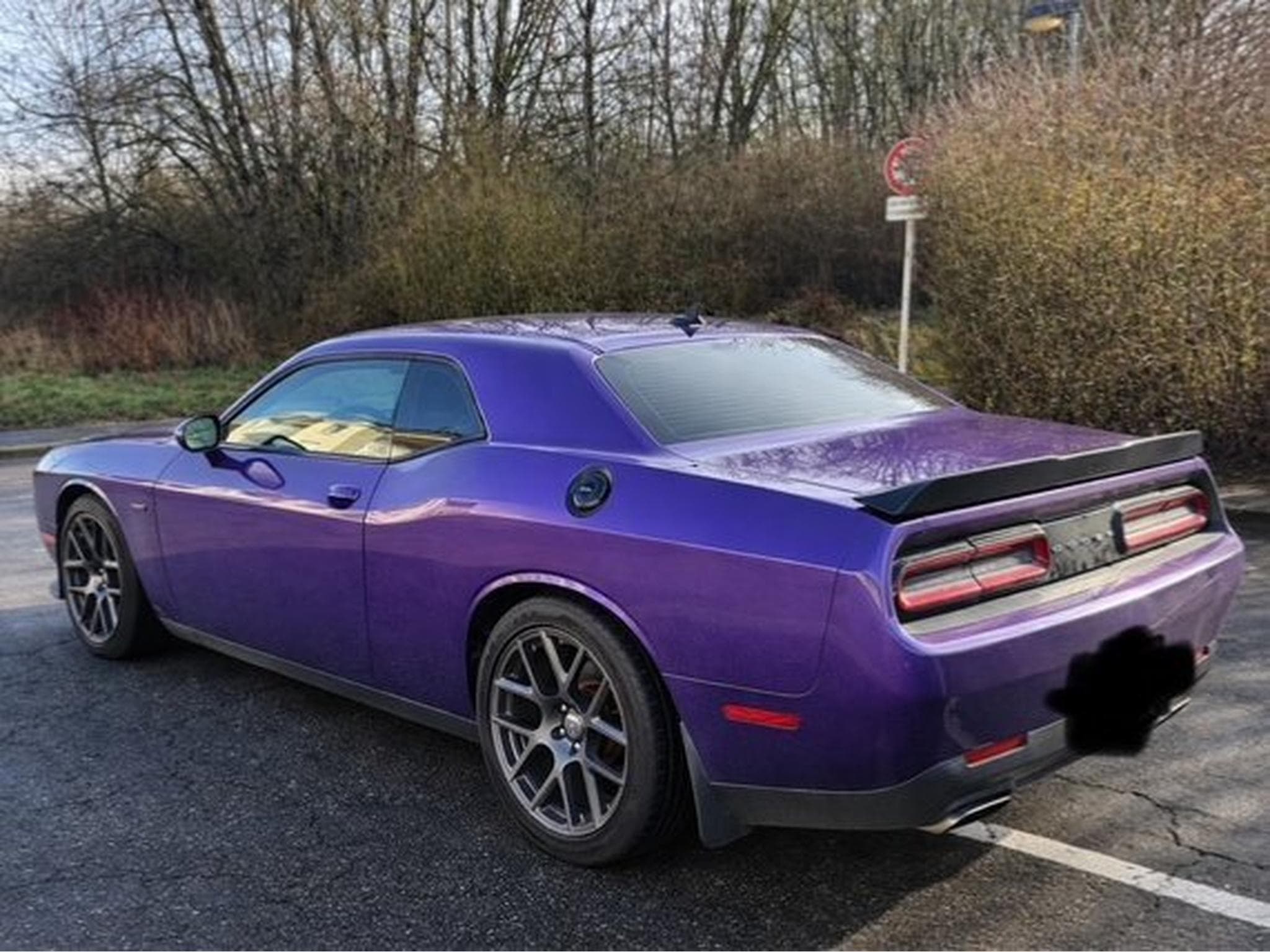 Dodge Challenger Shaker Plum Crazy (2016) - Photo 3