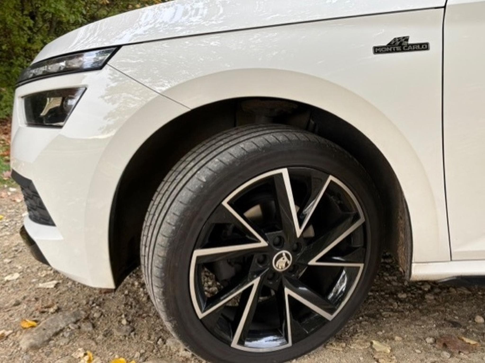 Skoda Kamiq 1,5 TSI , DSG, Monte Carlo (2021) - Photo 3