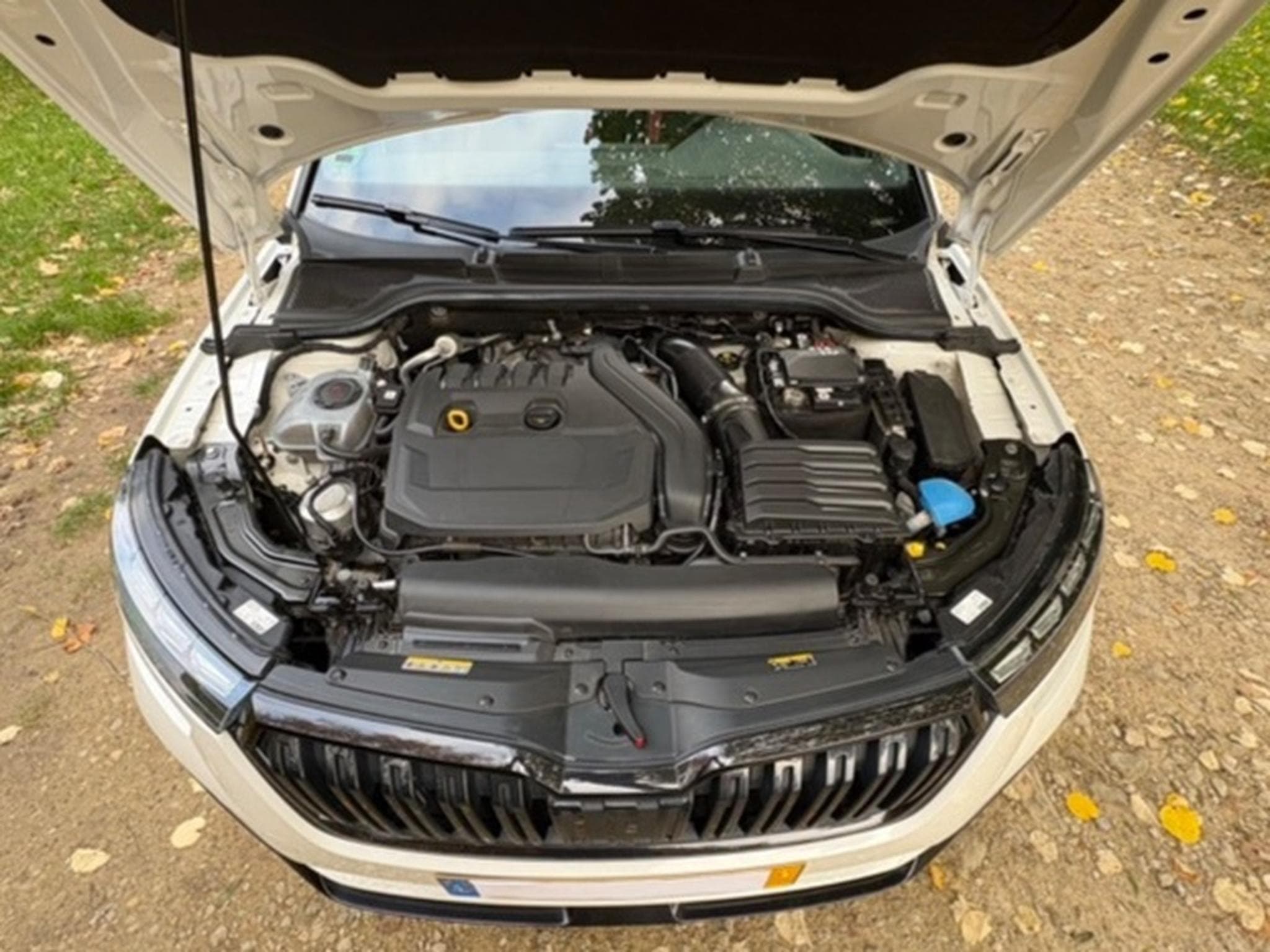 Skoda Kamiq 1,5 TSI , DSG, Monte Carlo (2021) - Photo 10