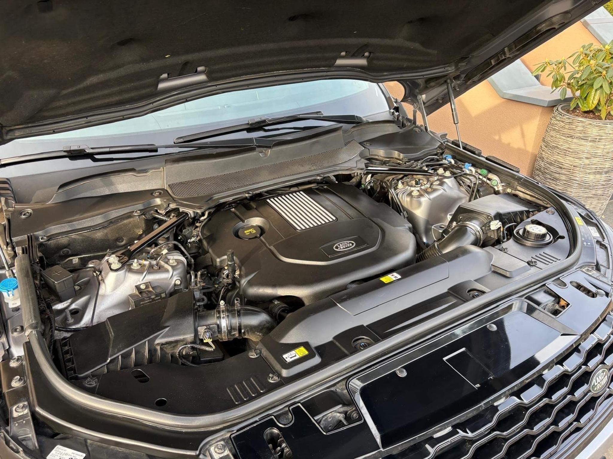 Land-Rover Range Rover Sport (2020) - Photo 8