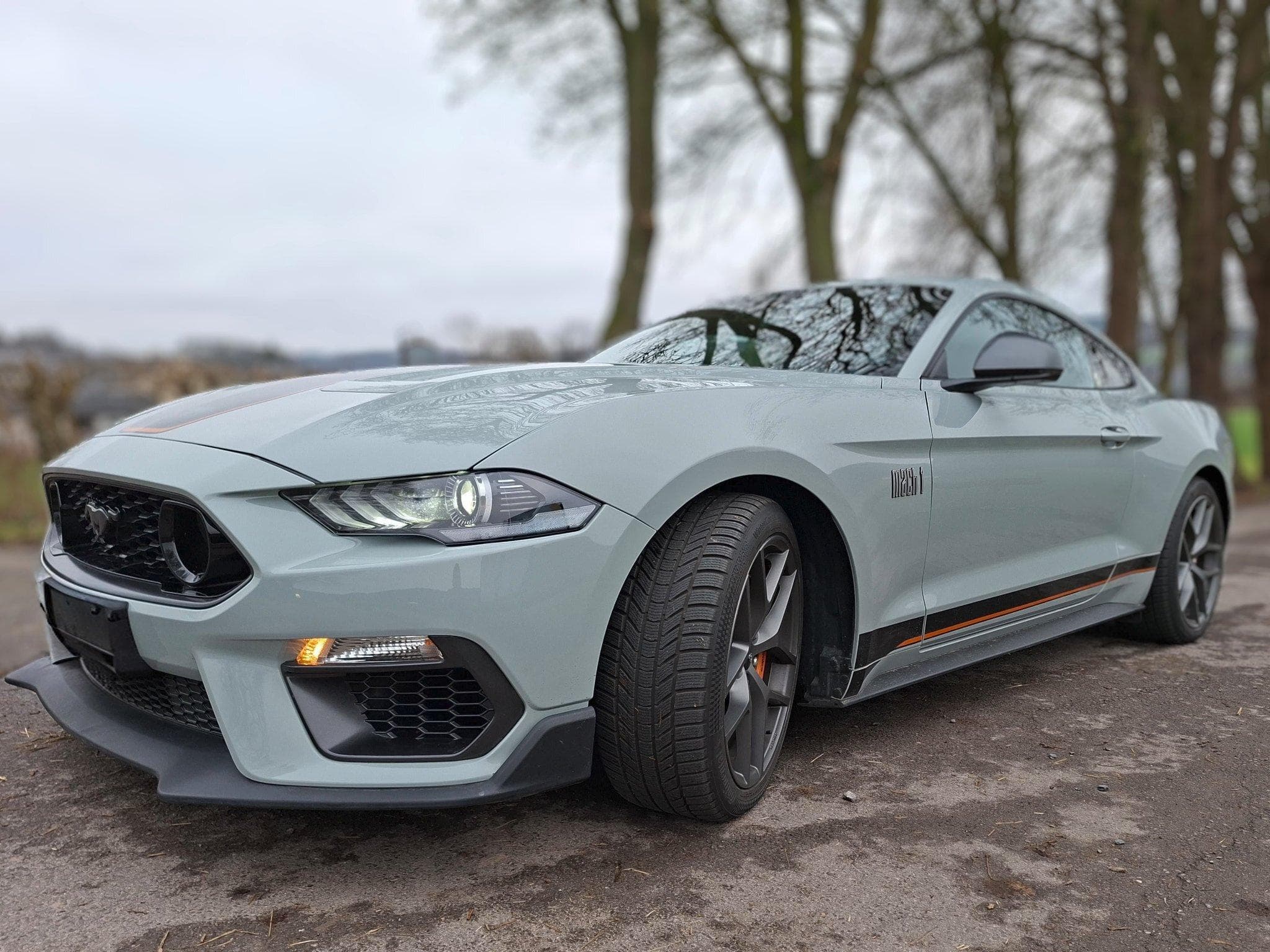 Ford Mustang Mustang Mach 1 (2023) - Photo 2