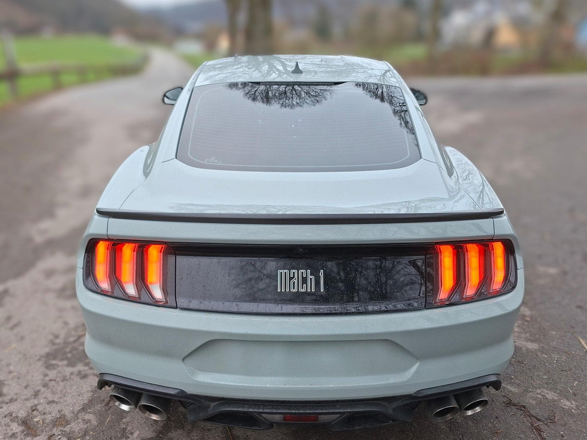 Ford Mustang Mustang Mach 1 (2023) - Photo 3