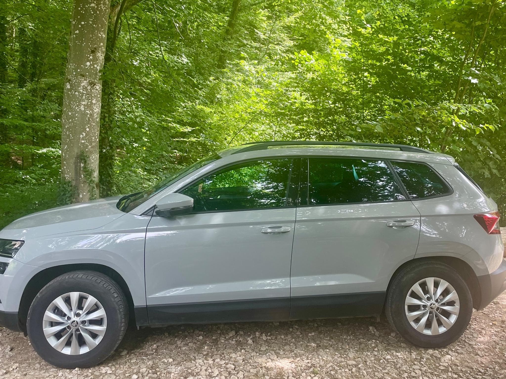 Skoda Karoq 4x4 (2018) - Photo 3