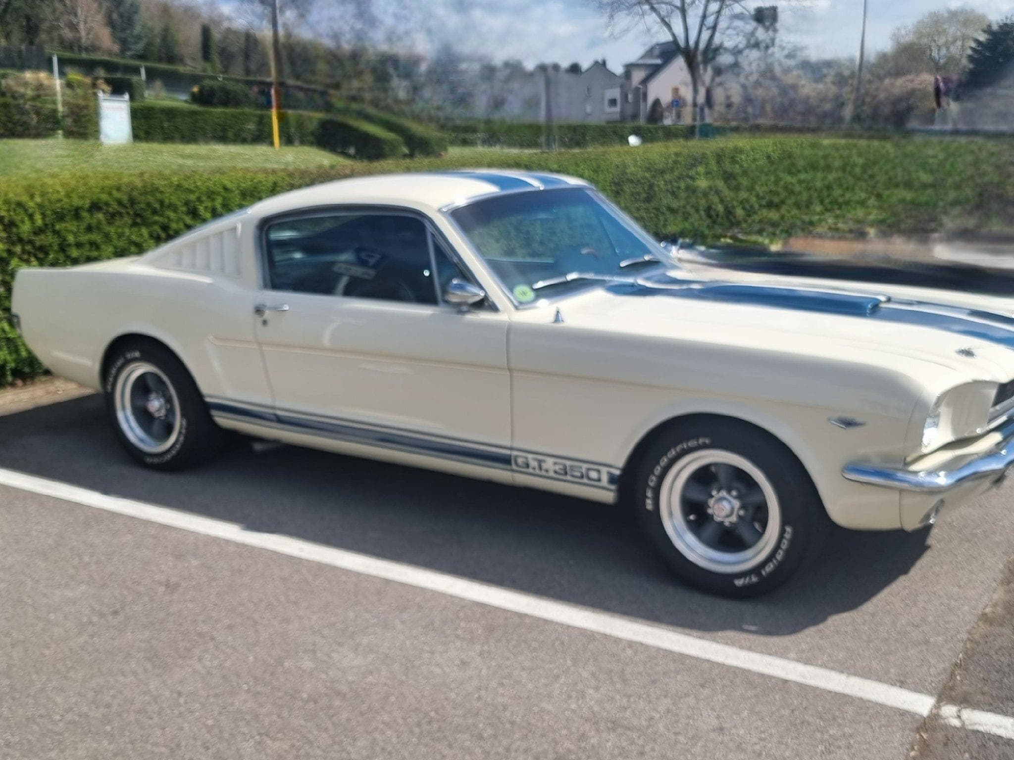 Ford Mustang Fastback GT350 A 1965 (2000) - Foto 4