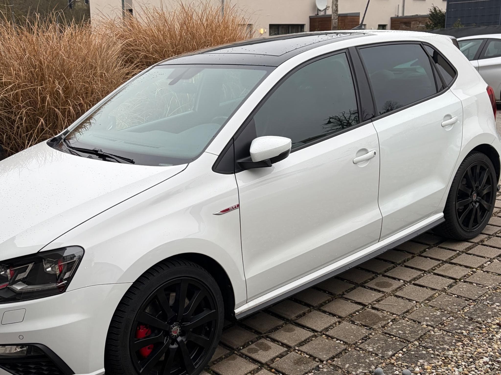 VW Polo GTI (2016) - Foto 1