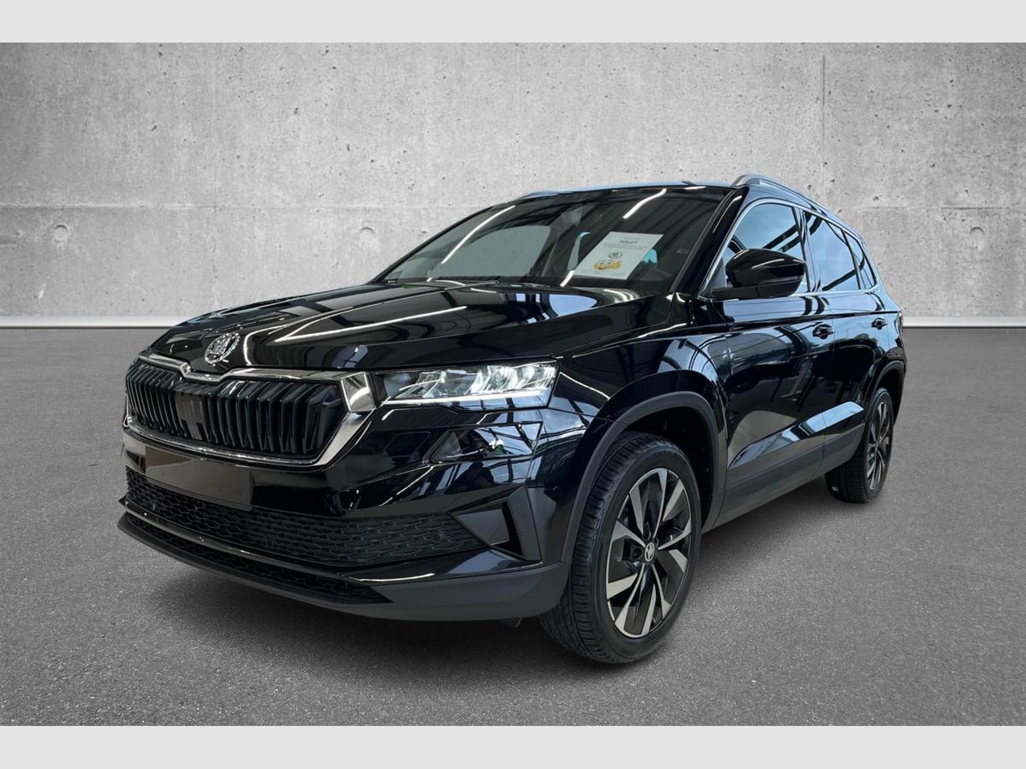 Skoda Karoq Selection (2026) - Foto 2