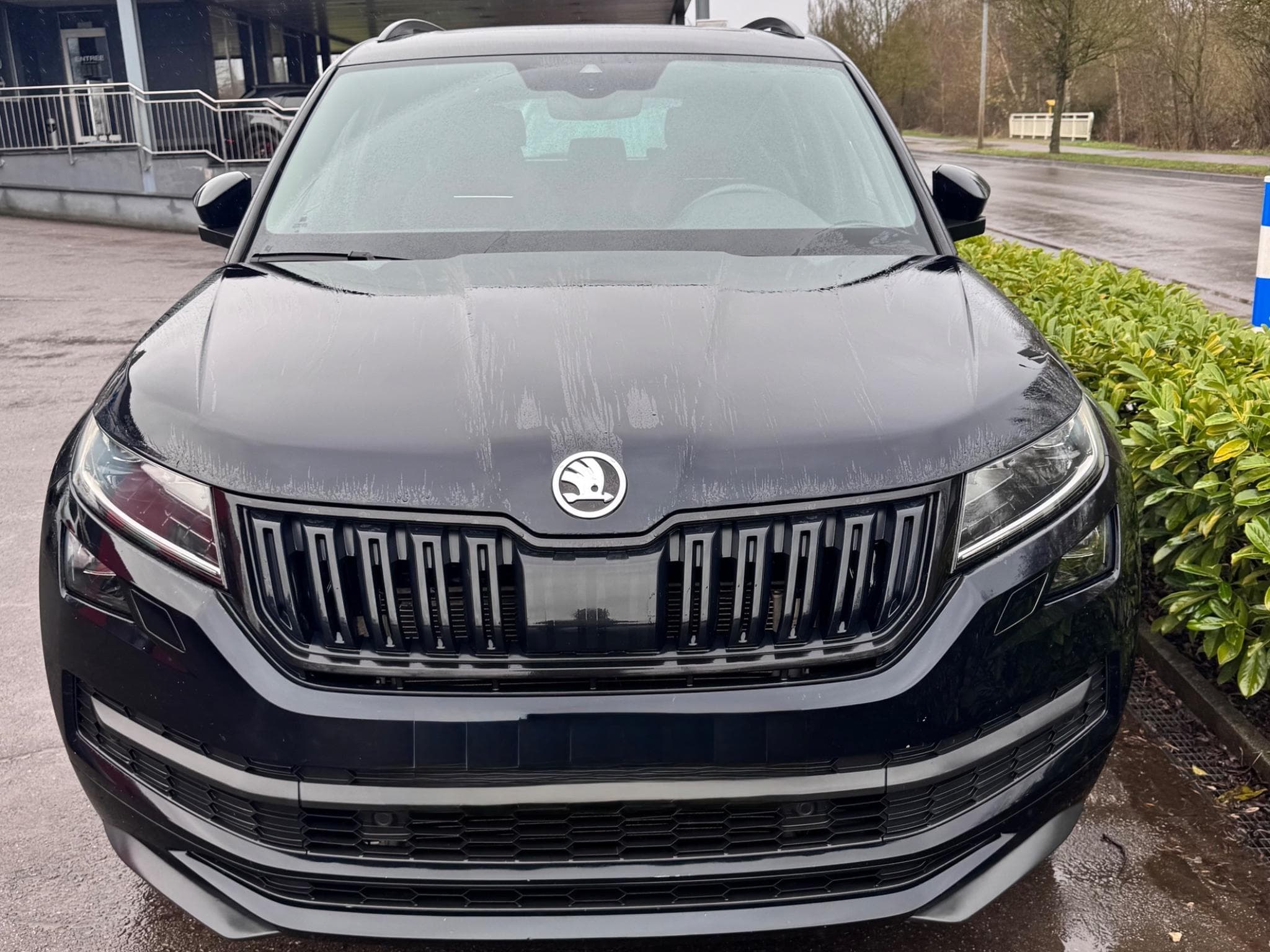 Skoda Kodiaq S-line (2021) - Photo 4