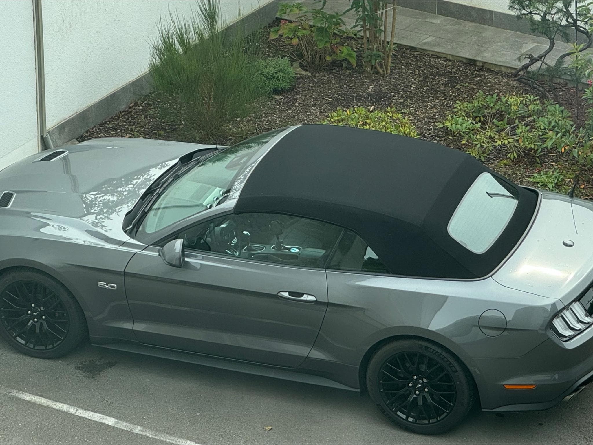 Ford Mustang 5.0 Ti-VCT V8 Cabrio GT Premium (2023) - Photo 3
