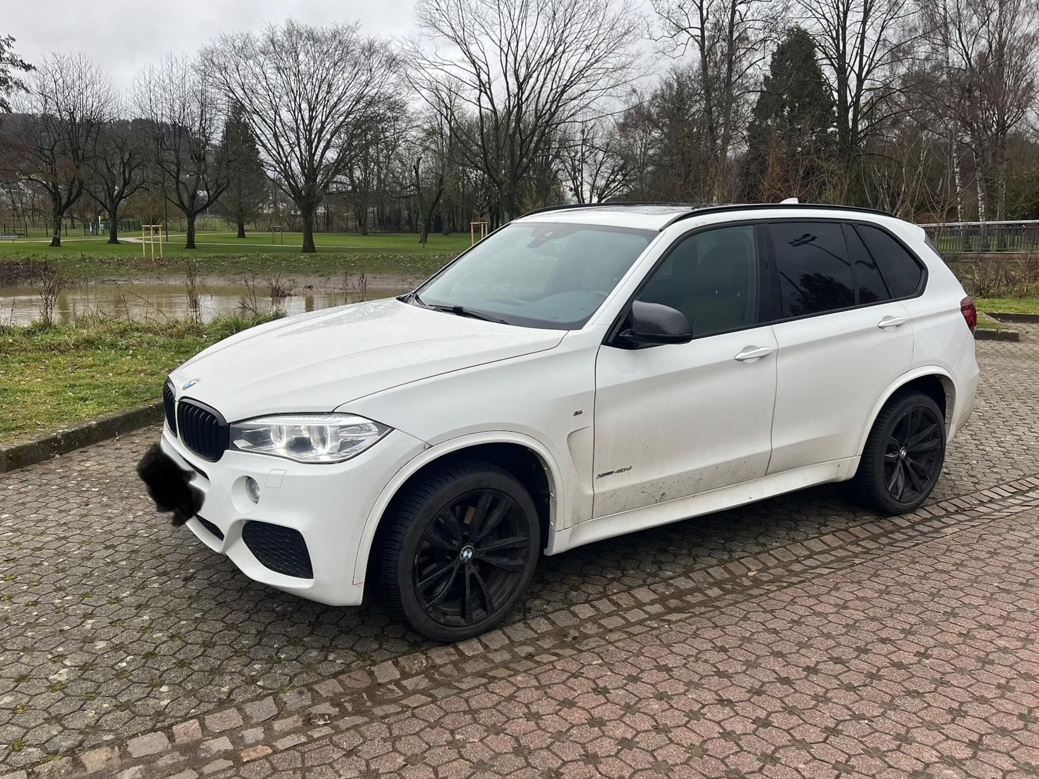 BMW X5 40d (2016) - Foto 3