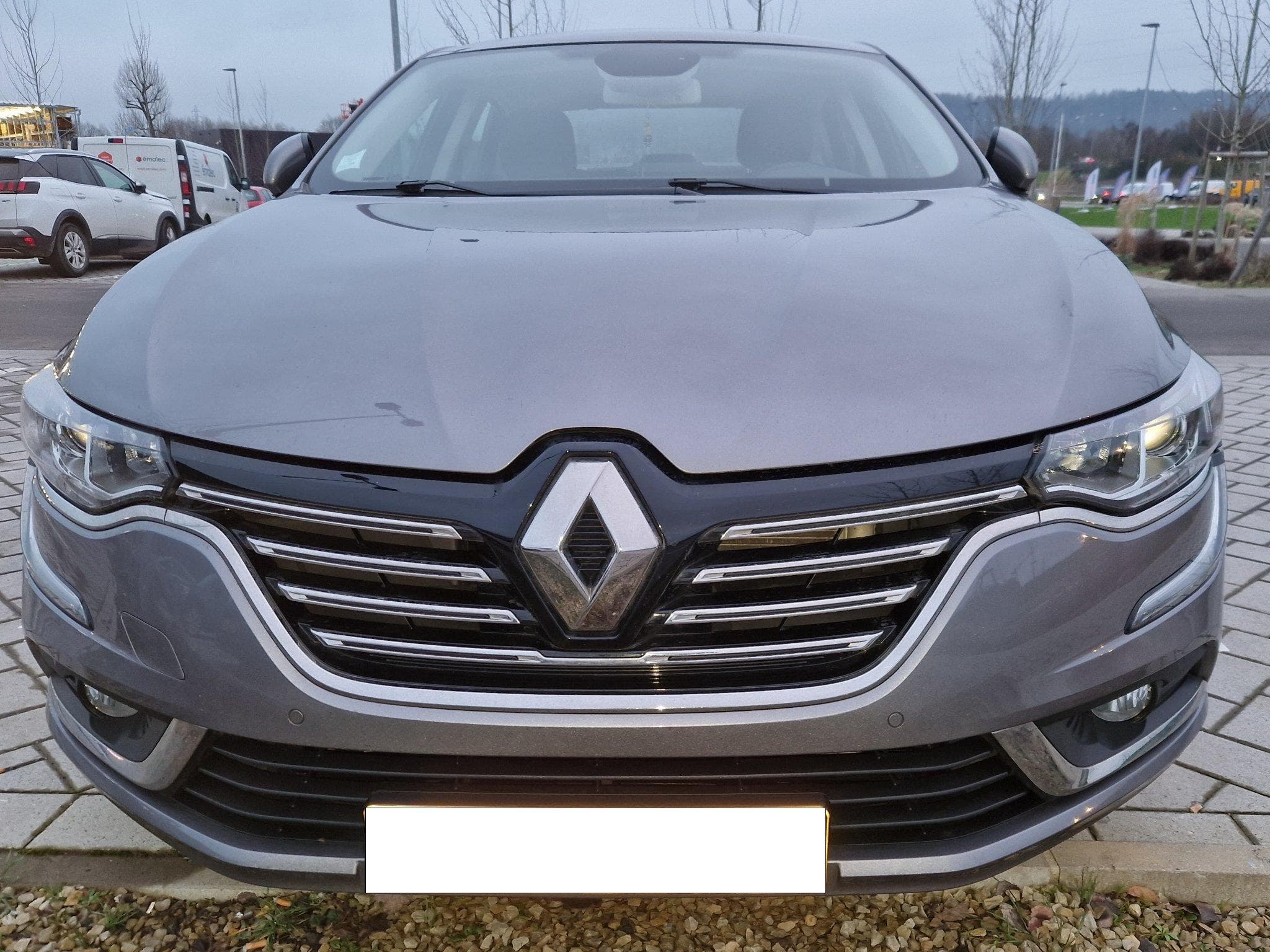 Renault Talisman Business (2019) - Photo 2