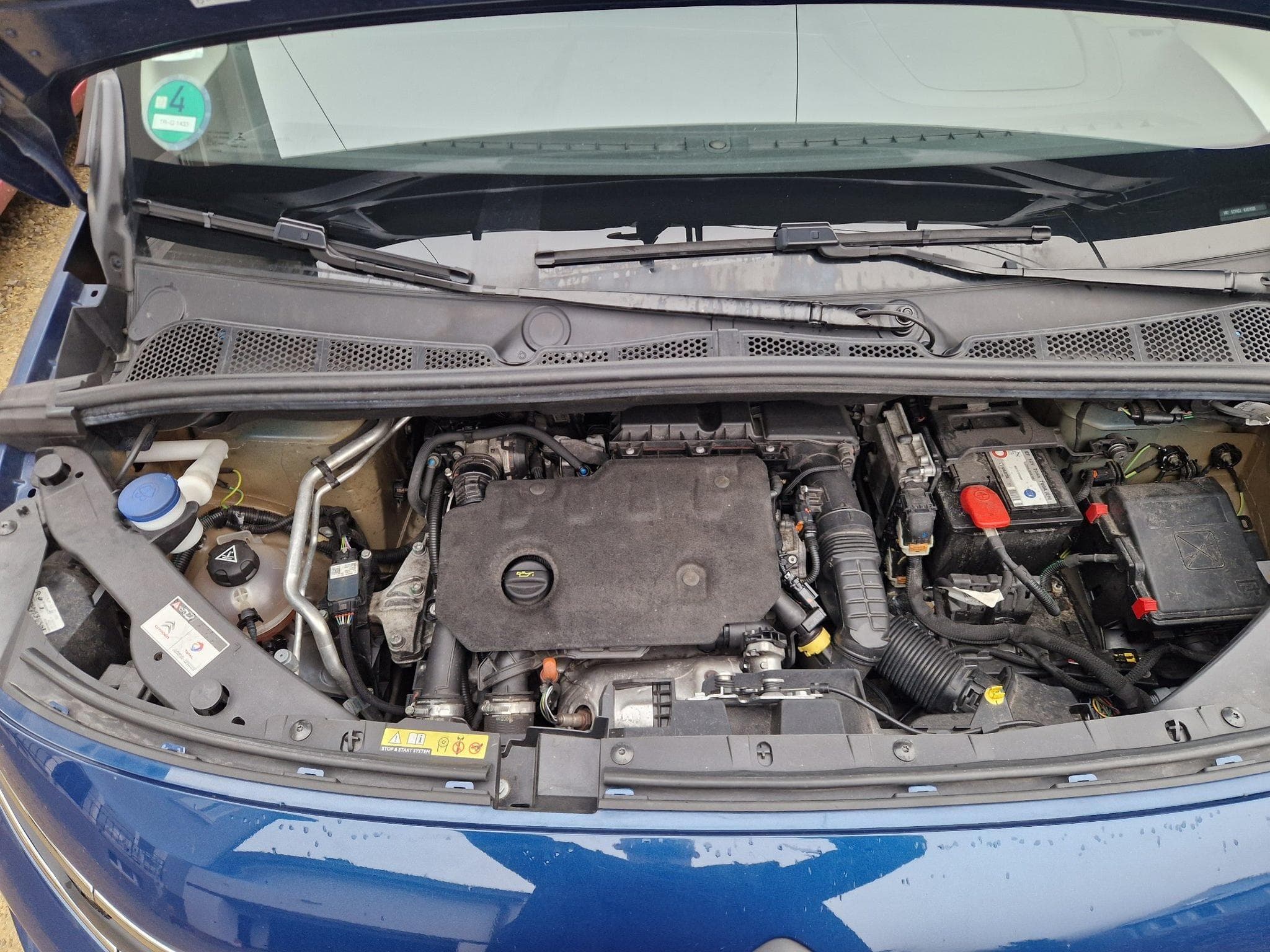 Citroën Berlingo Xl free 1,5blue hdi (2019) - Foto 2