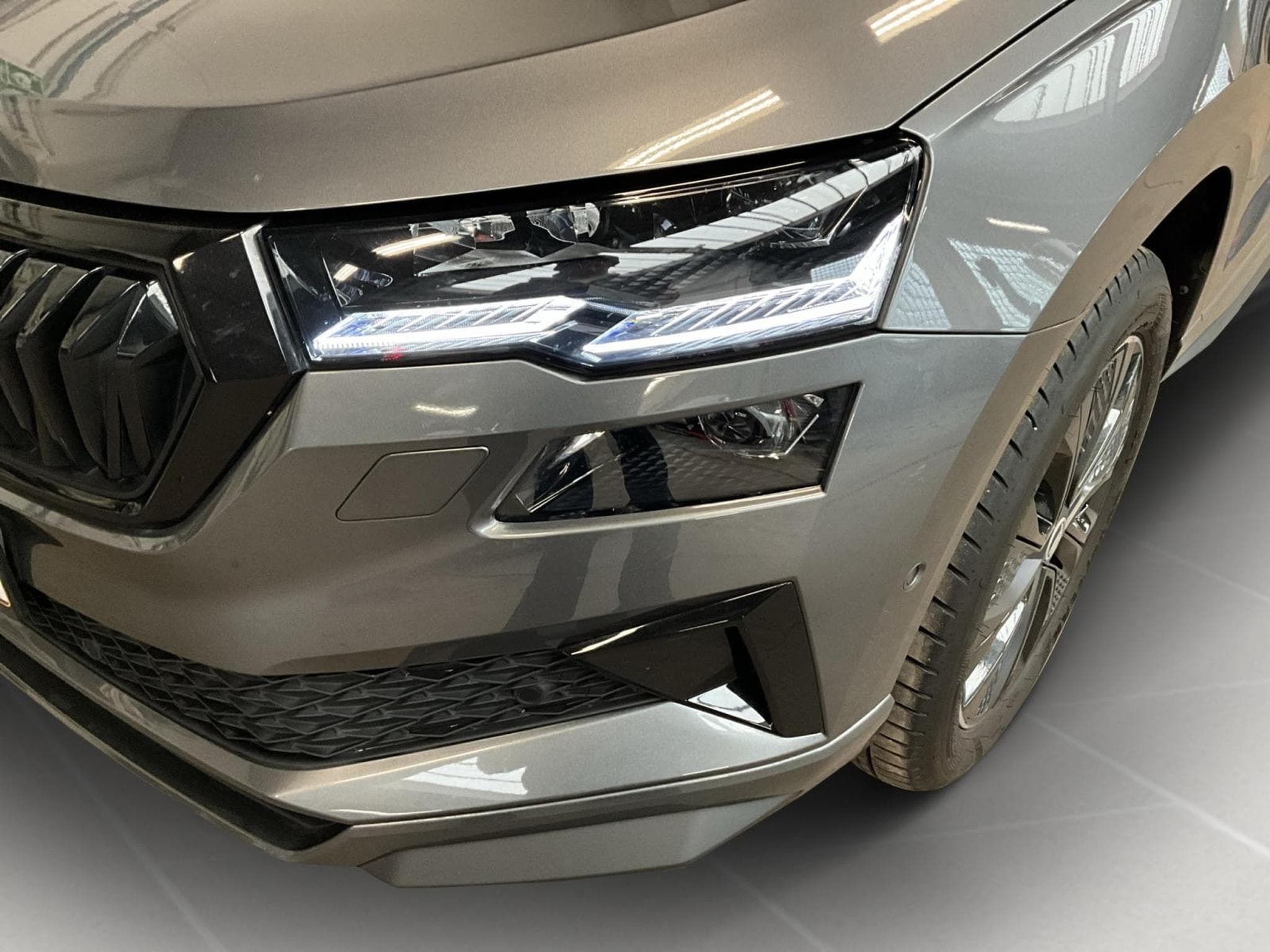 Skoda Karoq Sportline+DSG+4x4+P.Perf. (2025) - Foto 17